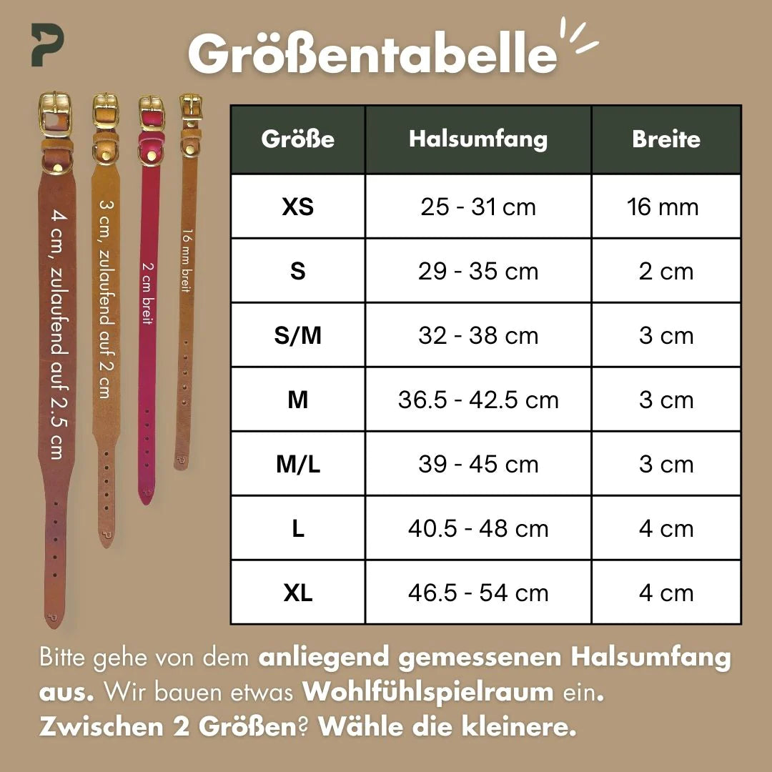 Set | Leather collar & leash in cognac