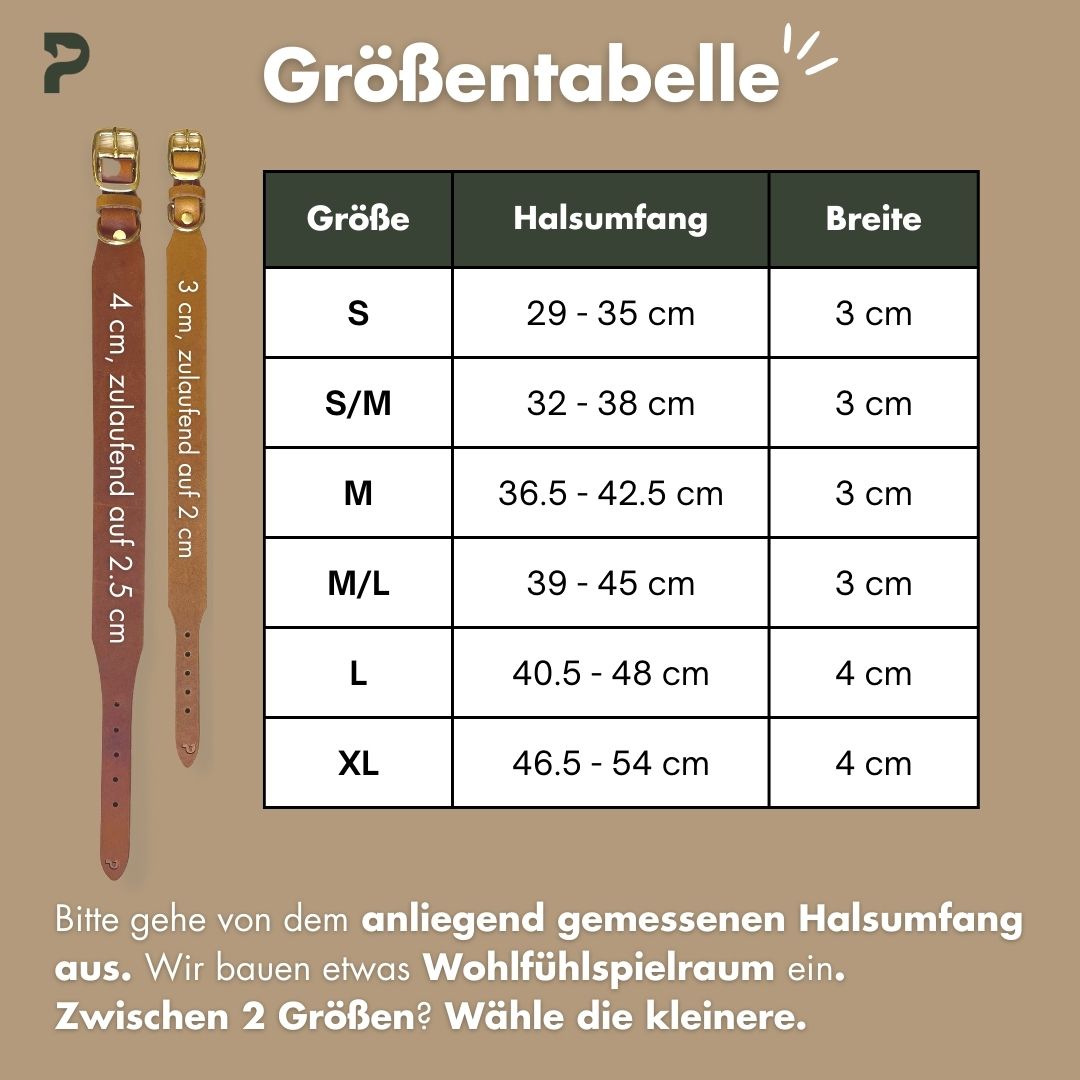 Personalizable collar with name | Stone gray