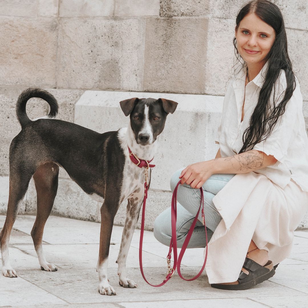 Dog leash made of Biothane® 'Magenta'