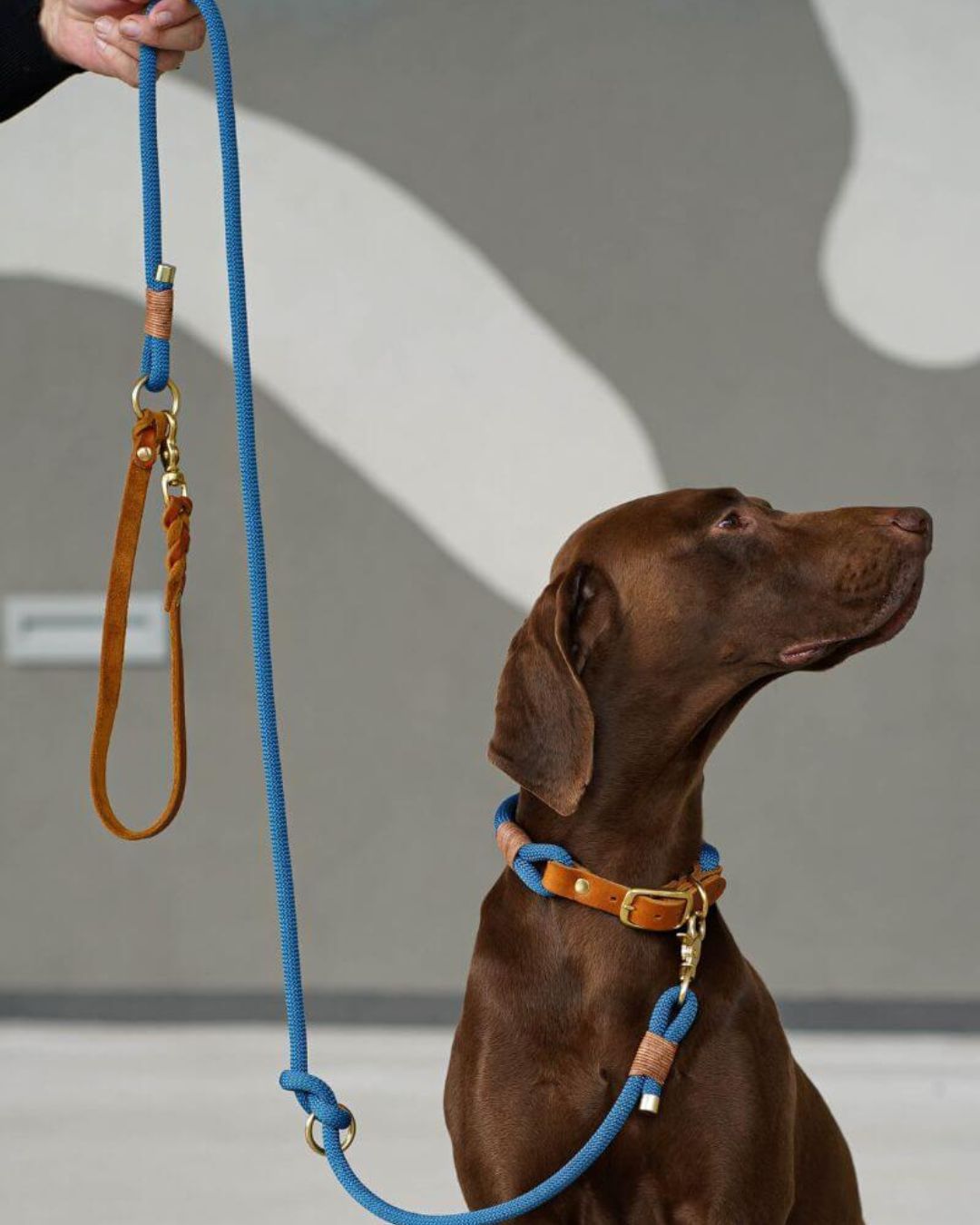 B: Goods | Tauleine 'Dusty Blue' with leather hand strap