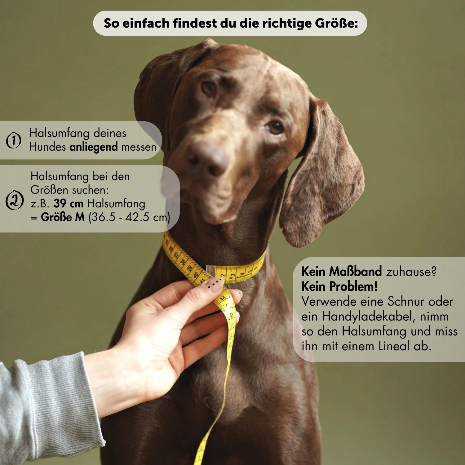 Biothane® collar 'Magenta'