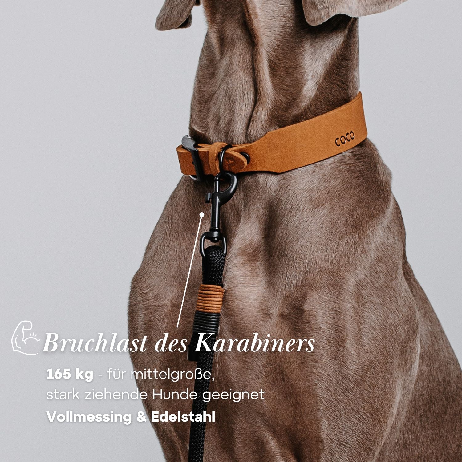 Set | Leather collar & rope leash 'Baya'