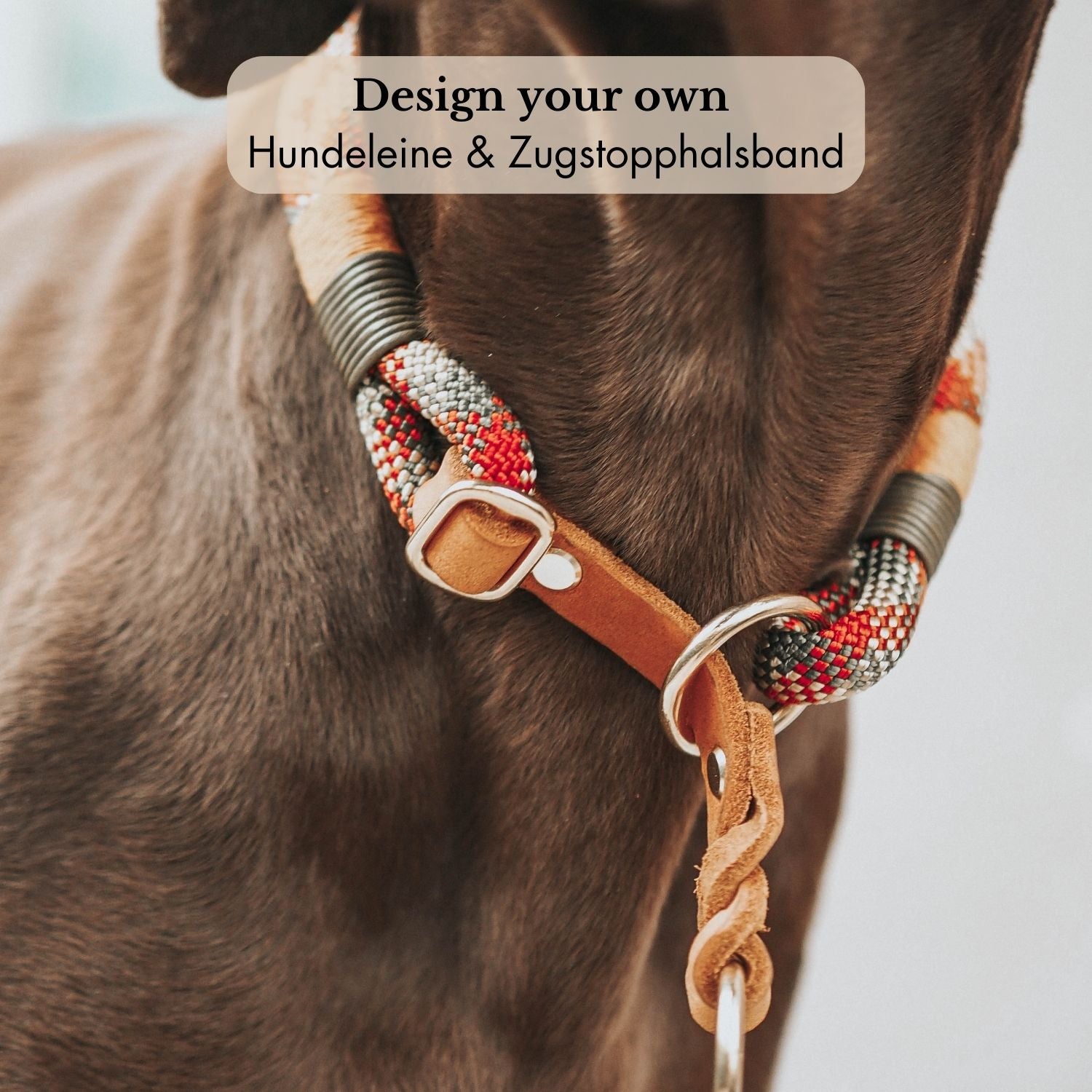 DESIGN YOUR OWN | Train Stop Collar & Leash