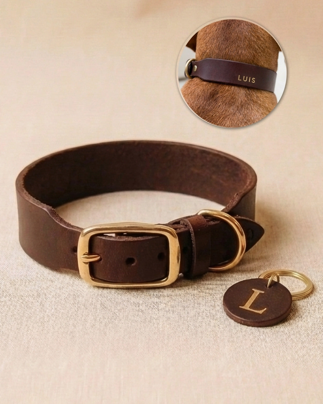 Personalizable collar with name | chestnut