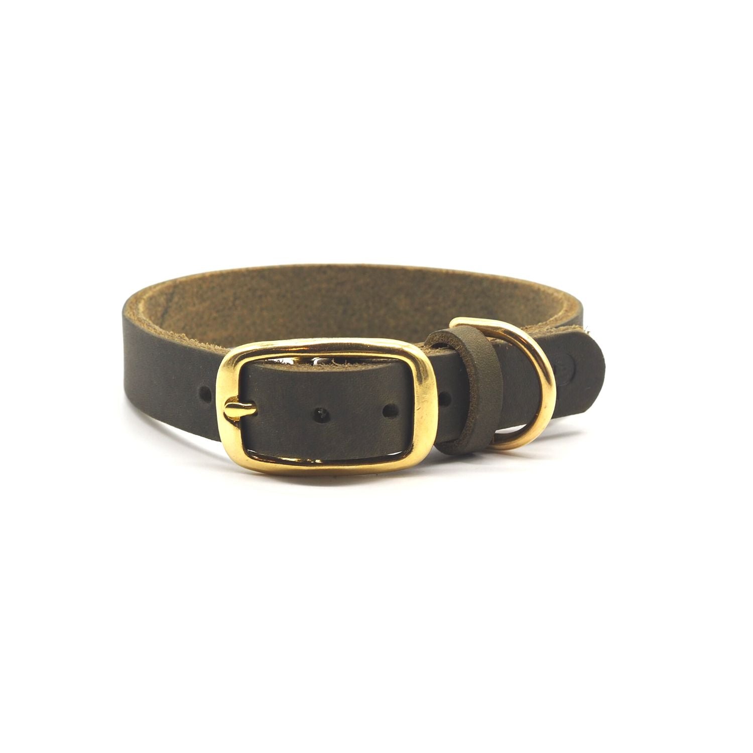 Gold buckle dog sales collar