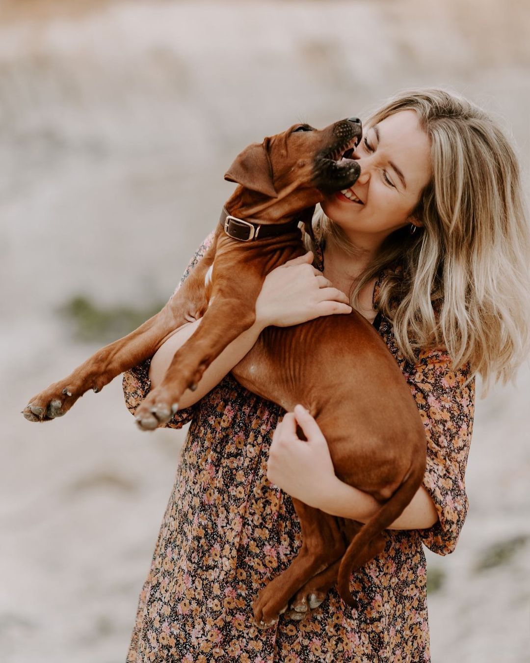 Personalizable puppy collar made of greased leather