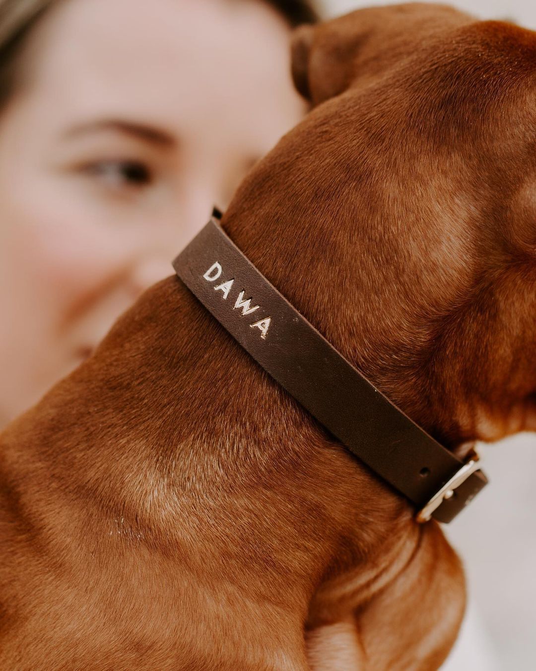 Personalizable puppy collar made of greased leather