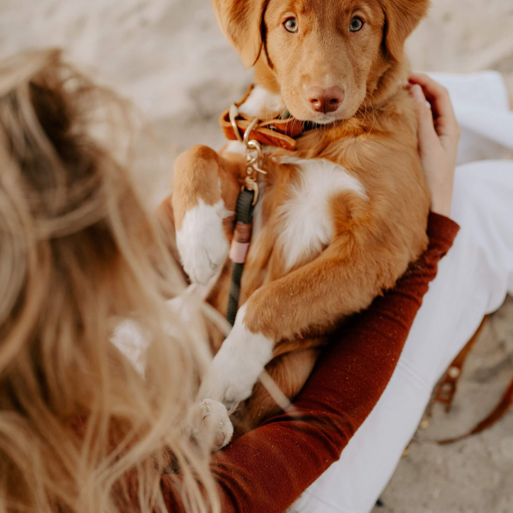 B:Ware | Tauleine 'Amira' mit Lederhandschlaufe