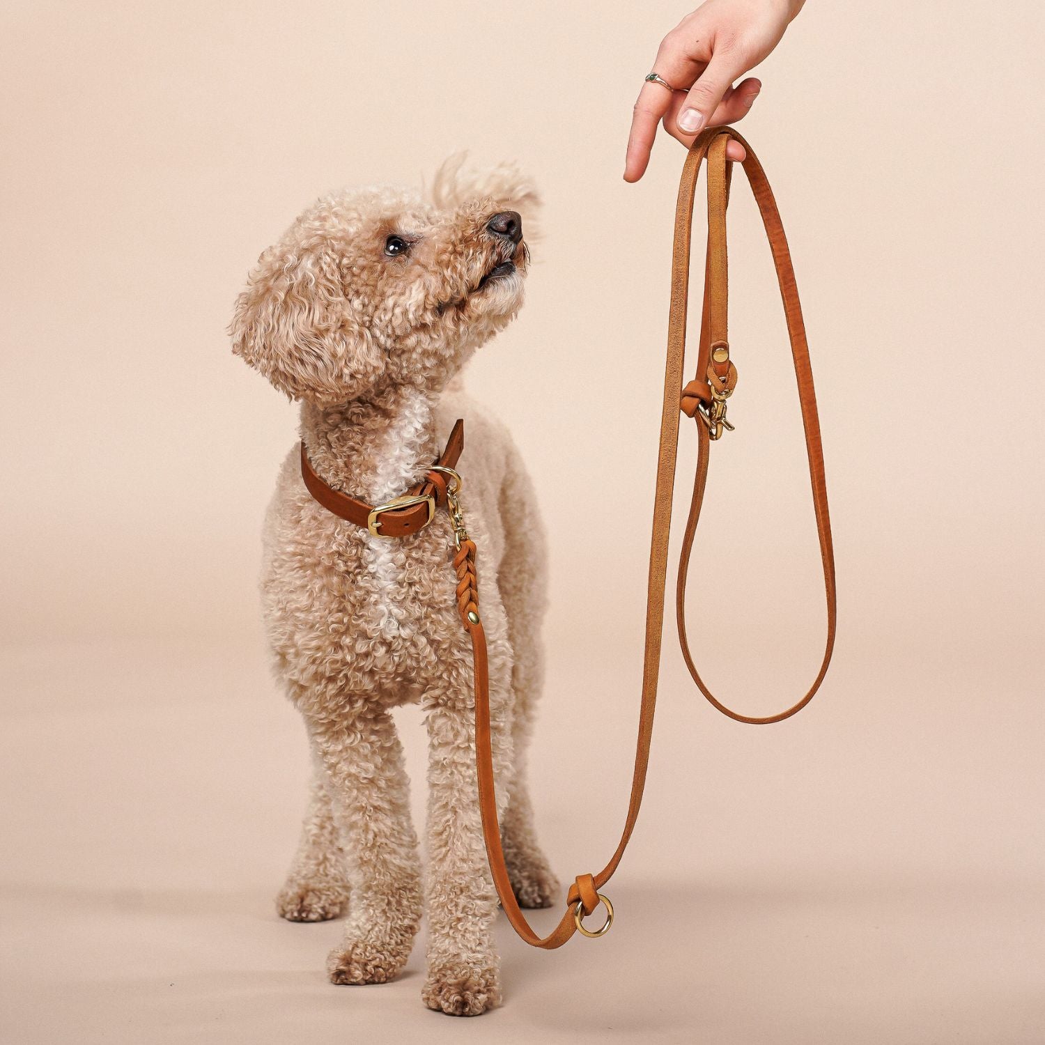 Leather leash 'Bjarki' in cognac