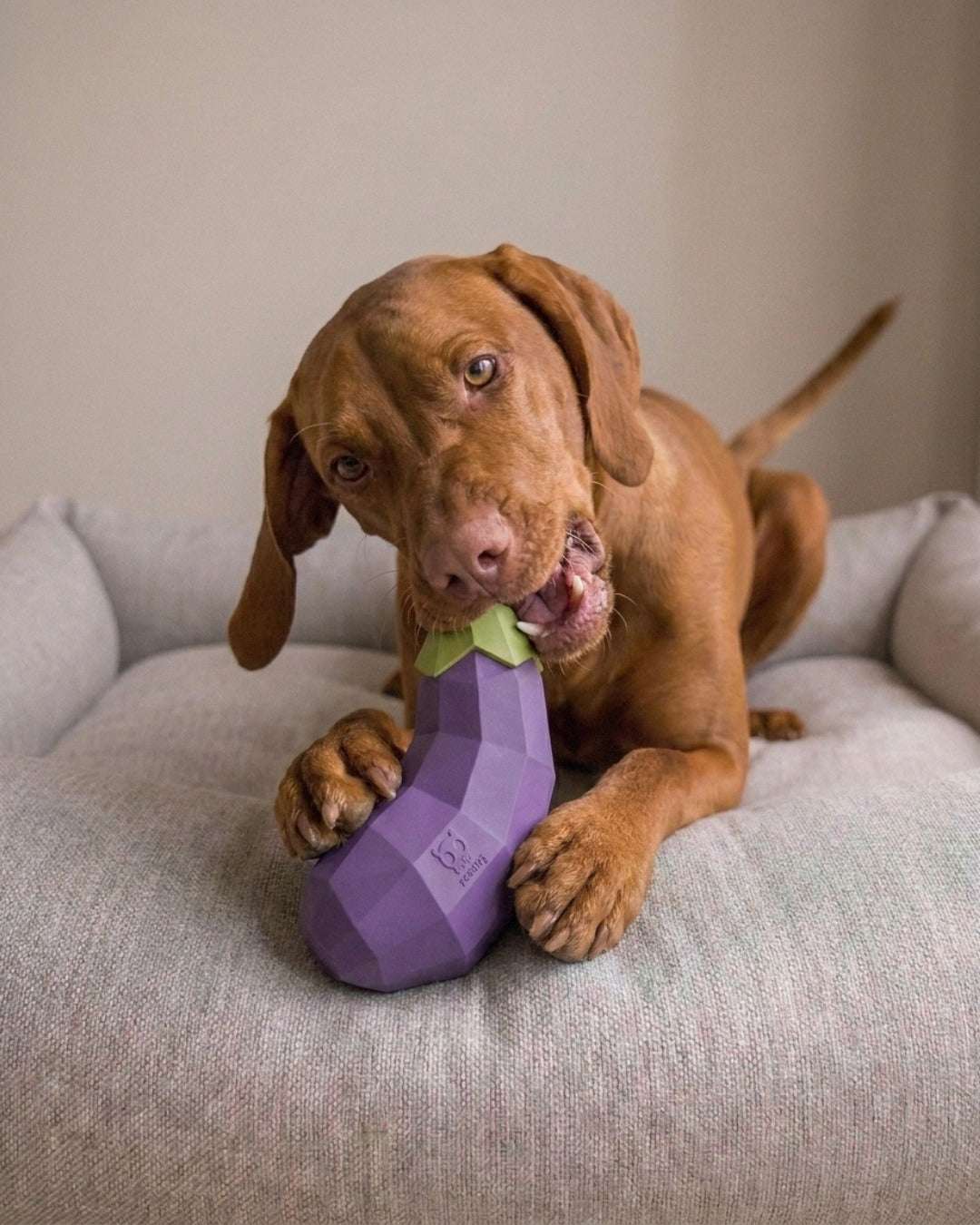 Hundespielzeug 'Super Veggiez Aubergine'