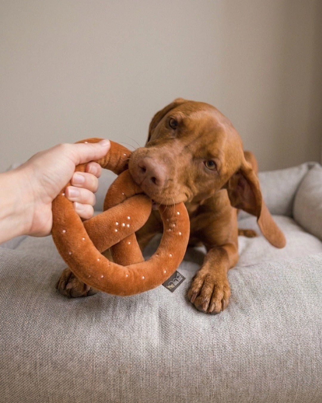 Hundespielzeug 'Breze'