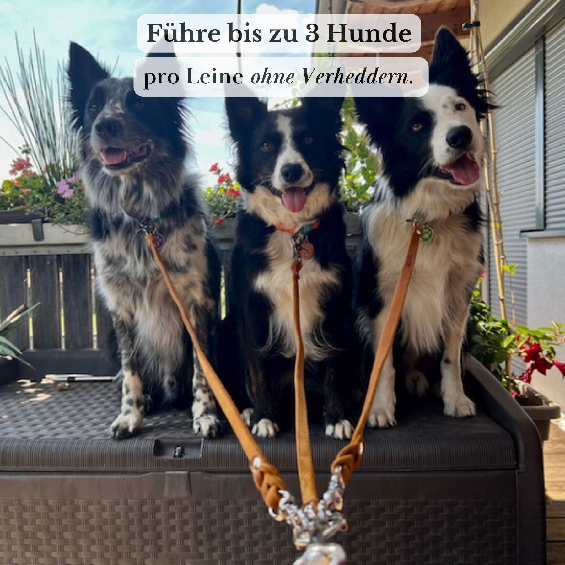 Komplett-Set | 2 Stück Verbindungsteile aus Leder inkl. Ring - für 2 Hunde an einer Leine
