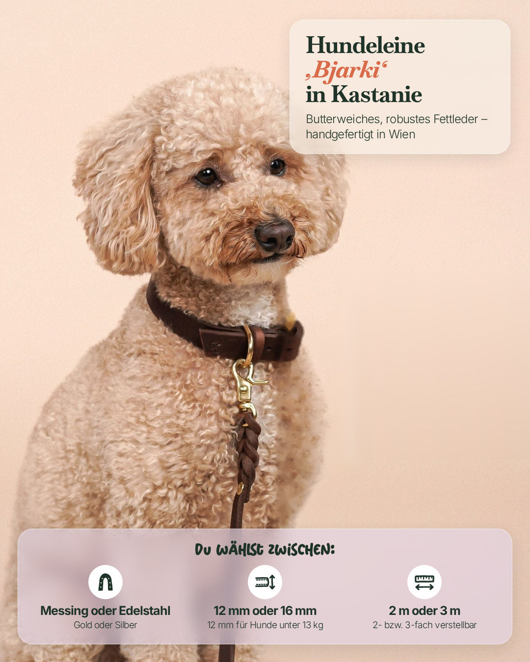 Hund mit der Hundeleine Bjarki in Kastanie – wählbar in Messing oder Edelstahl, 12 oder 16 mm, 2 oder 3 m
