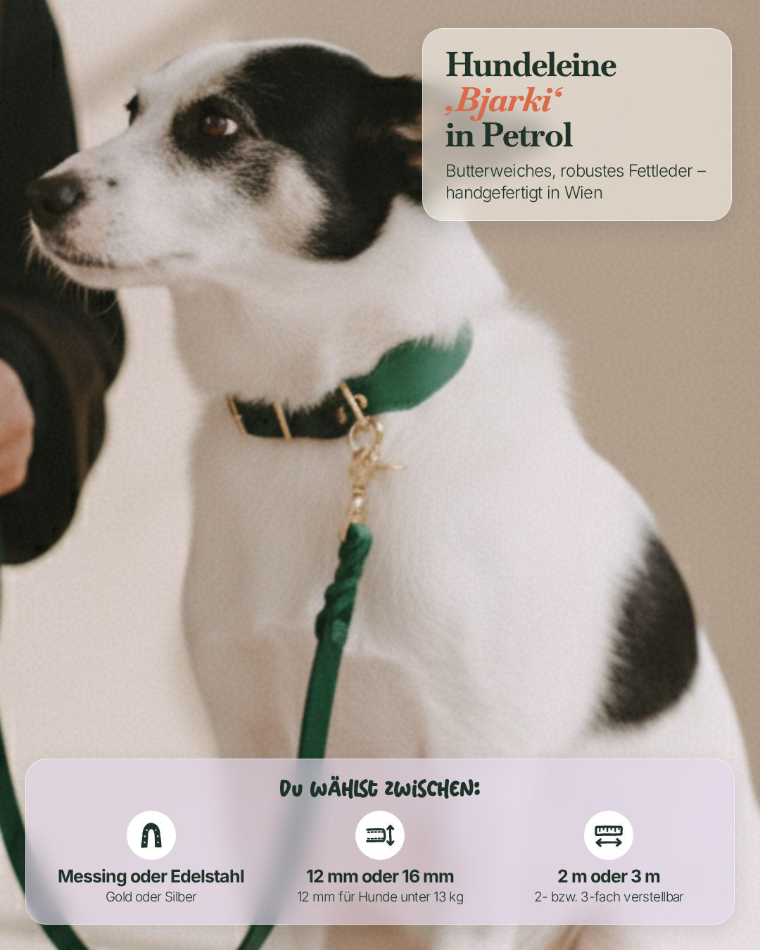 Hund mit der Hundeleine Bjarki in Petrol – wählbar in Messing oder Edelstahl, 12 oder 16 mm, 2 oder 3 m