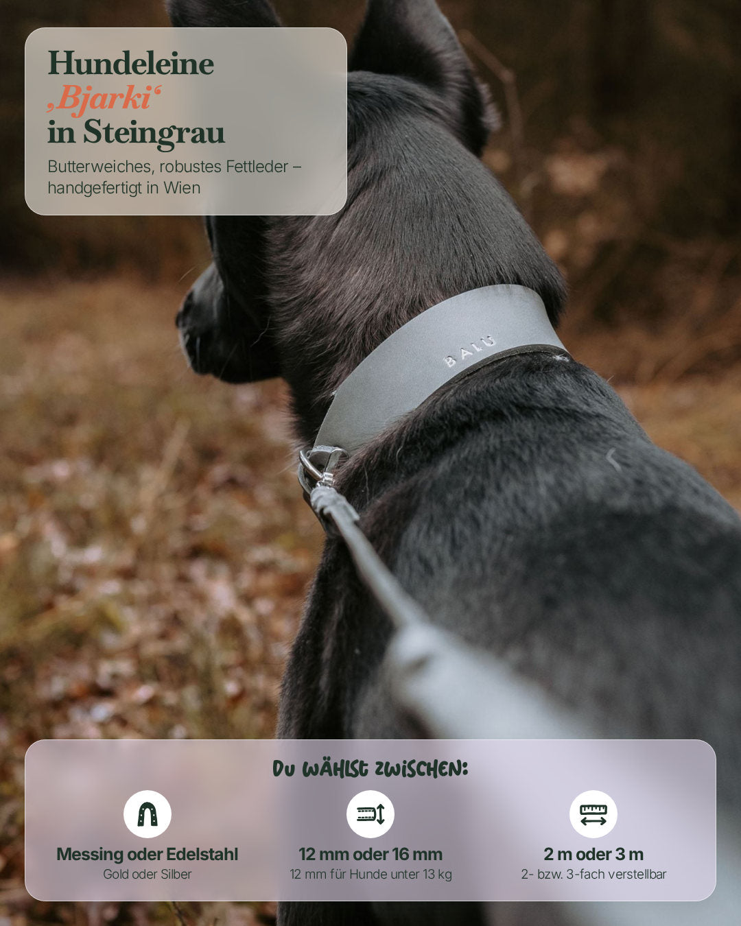 Hund mit der Hundeleine Bjarki in Steingrau – wählbar in Messing oder Edelstahl, 12 oder 16 mm, 2 oder 3 m