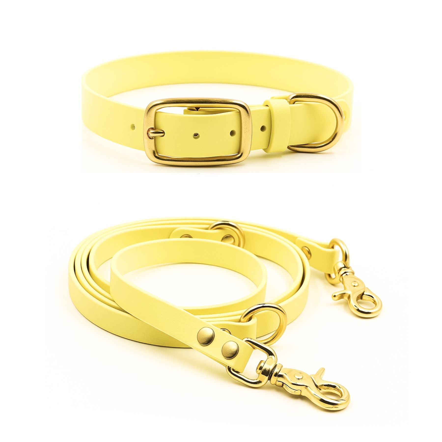 Set | Halsband & Leine aus Biothane® 'Buttercup'