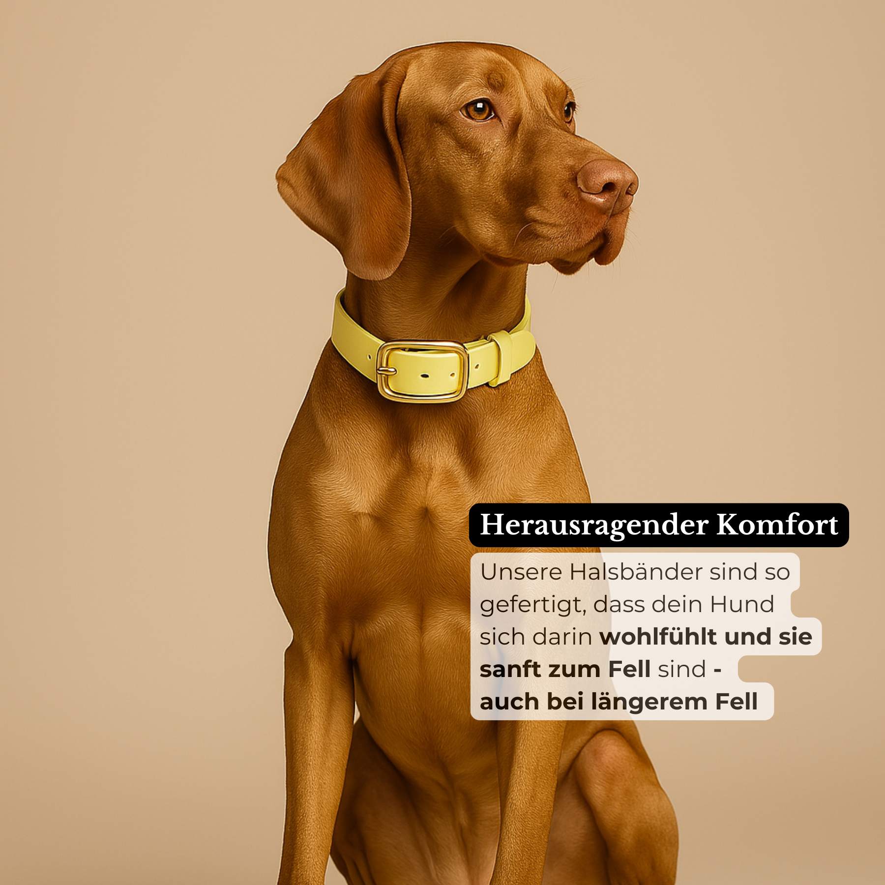 Set | Collar & leash made of Biothane® 'Sage'