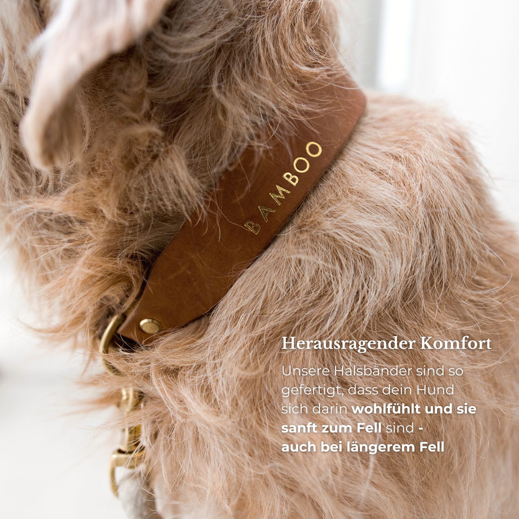 Personalizable collar with name | cognac