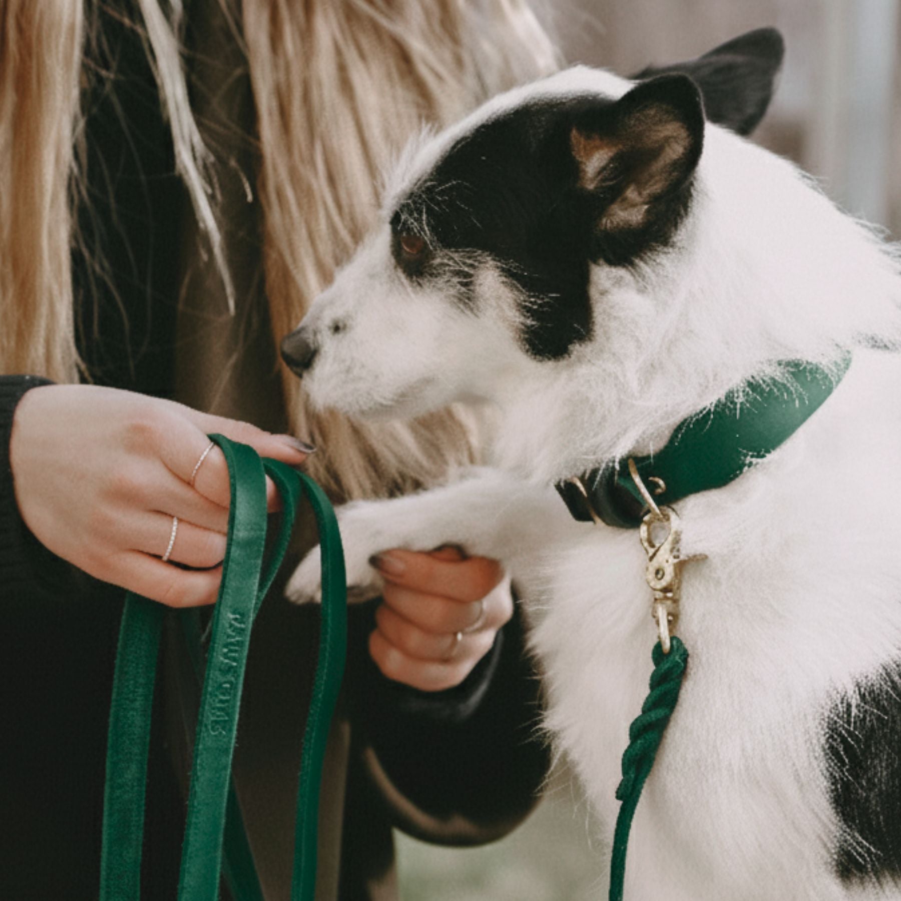 Set | Lederhalsband & Leine in Petrol