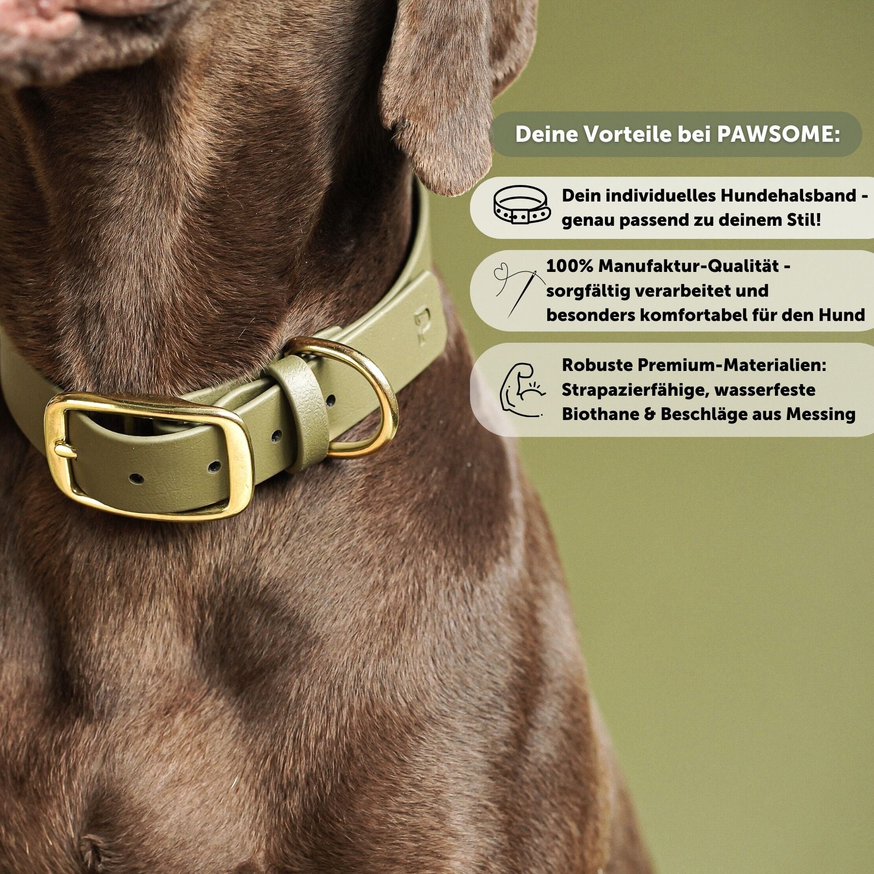 Biothane® collar 'Khaki'