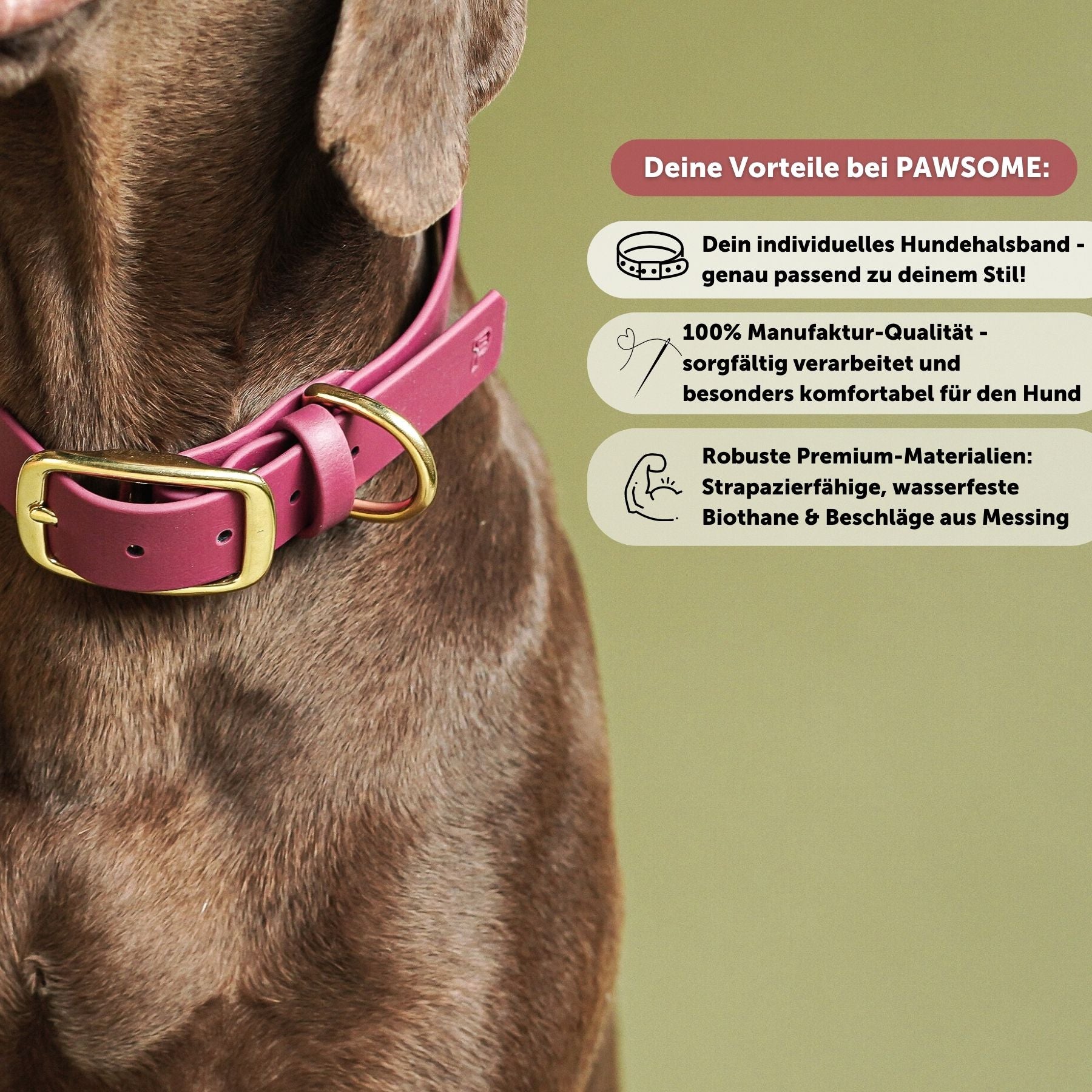 Biothane® collar 'Magenta'