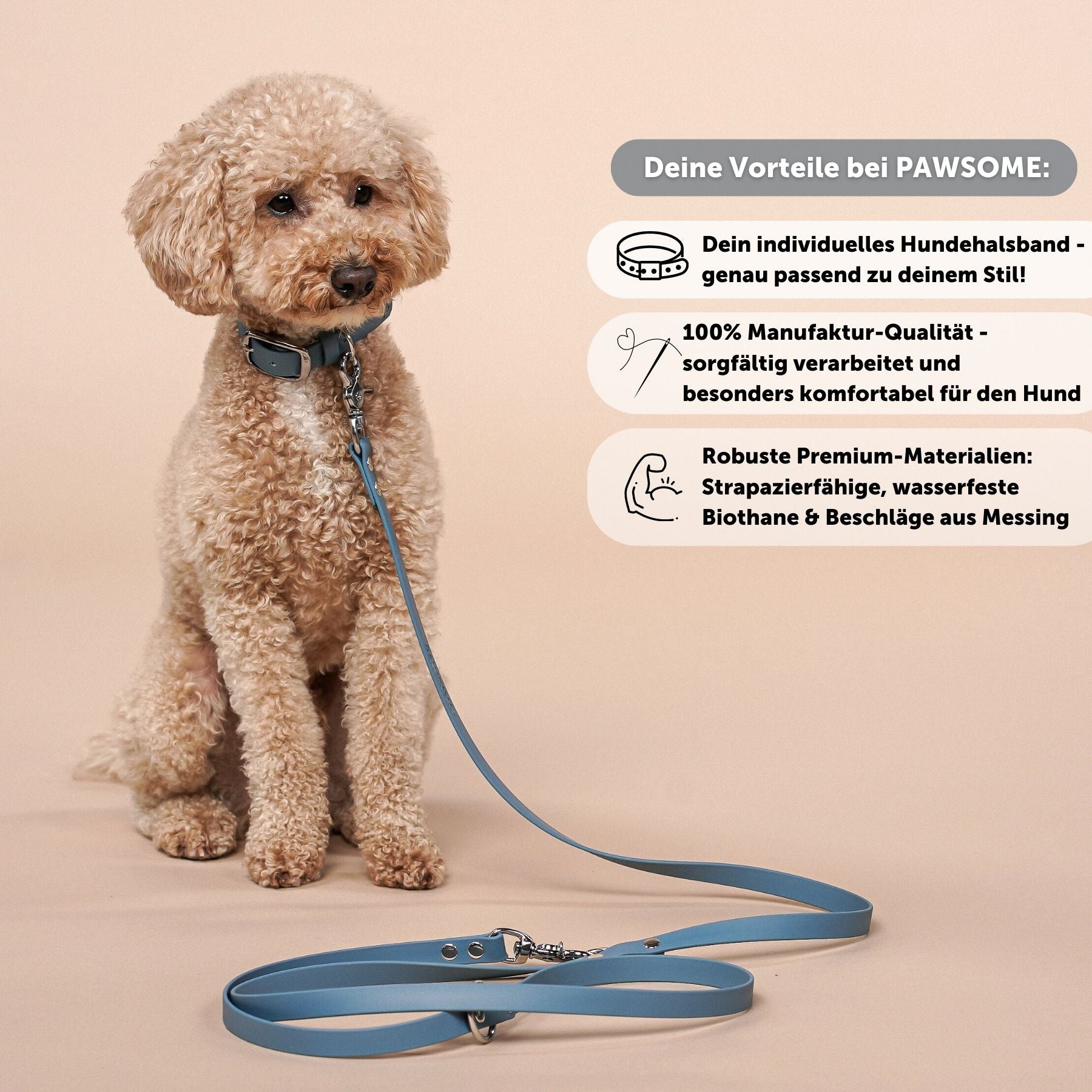 Biothane® collar 'Dusty Blue'