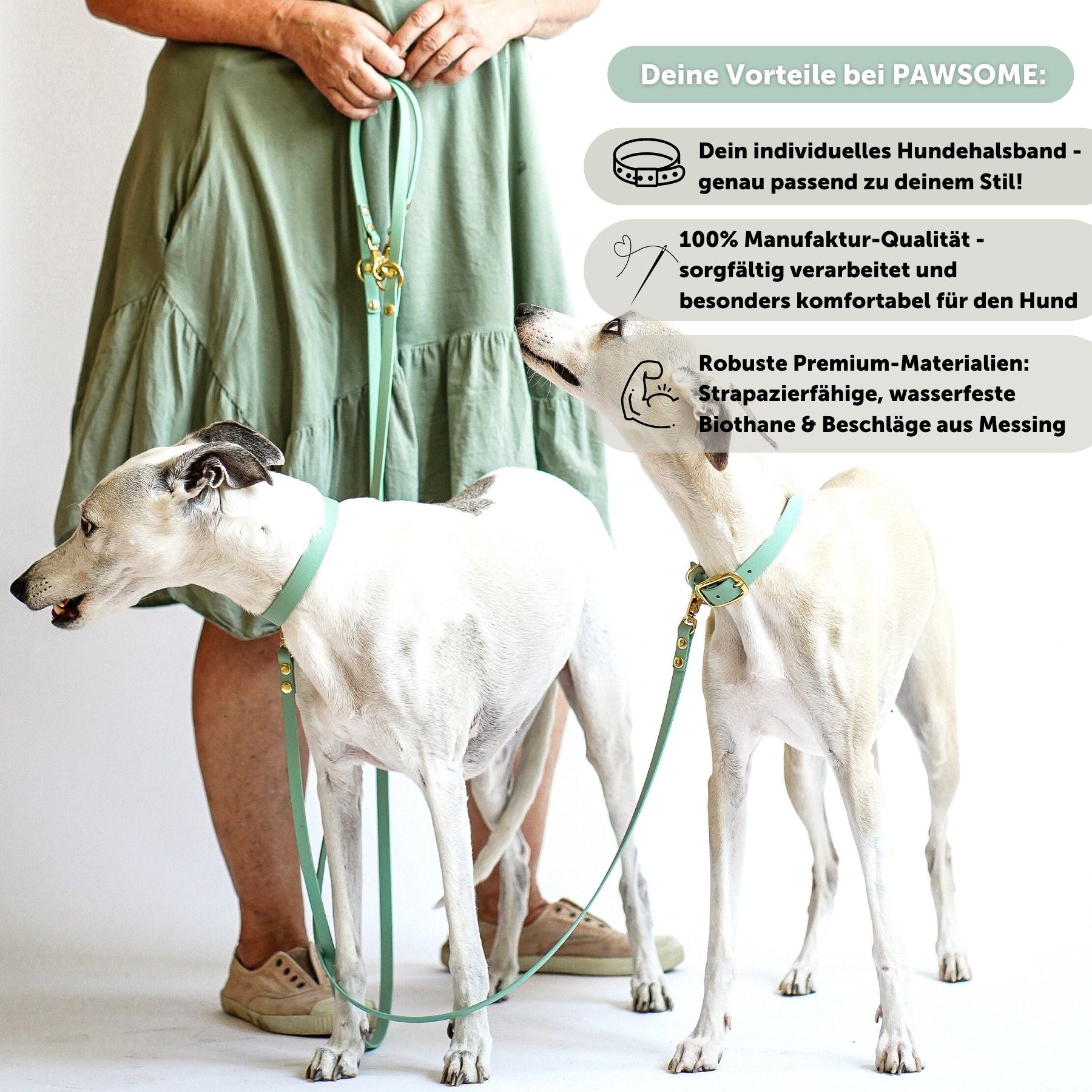 Biothane® collar 'Sage'