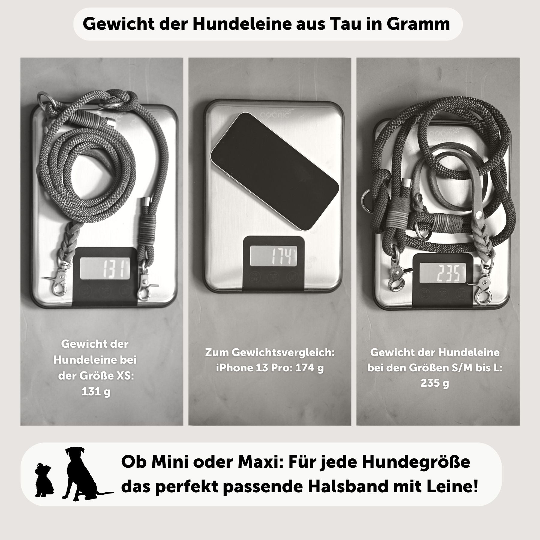 BLACK DOGDAYS promotion | Leather collar & rope leash 'Berlin'