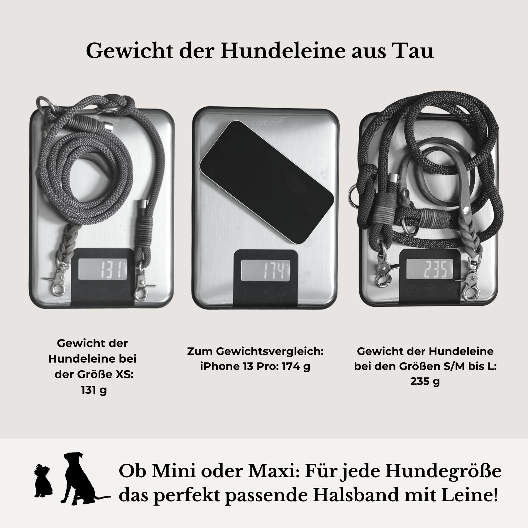 Set | Collar & leash 'Berlin'