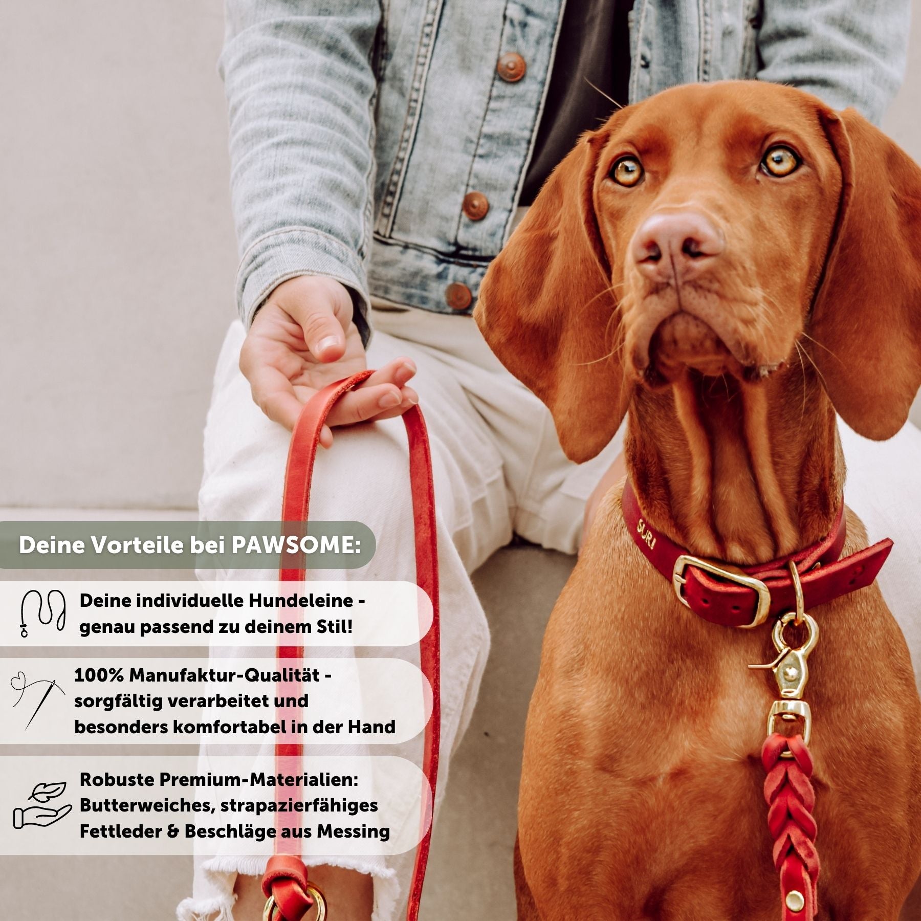 Leather leash 'Bjarki' in chili