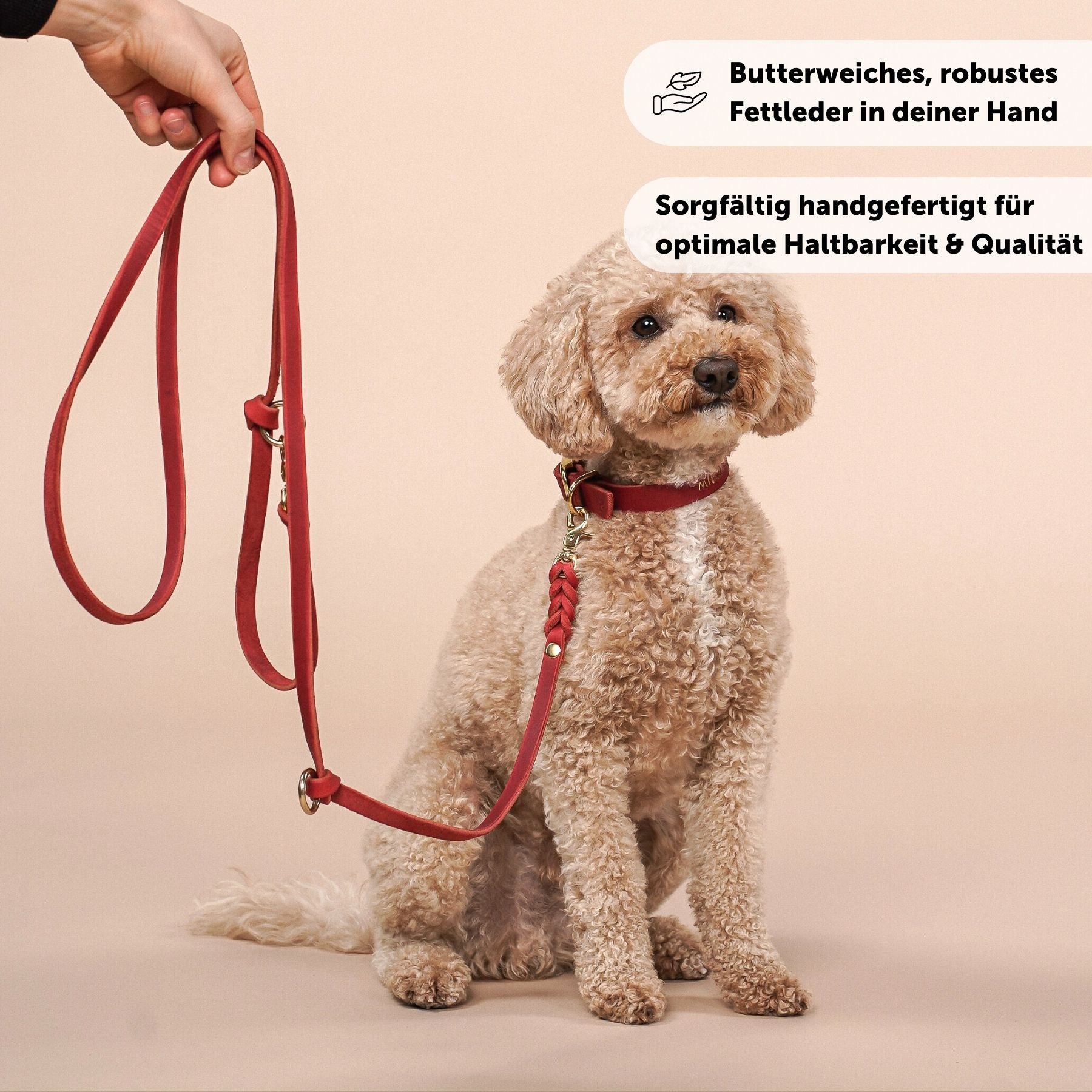 Leather leash 'Bjarki' in chili