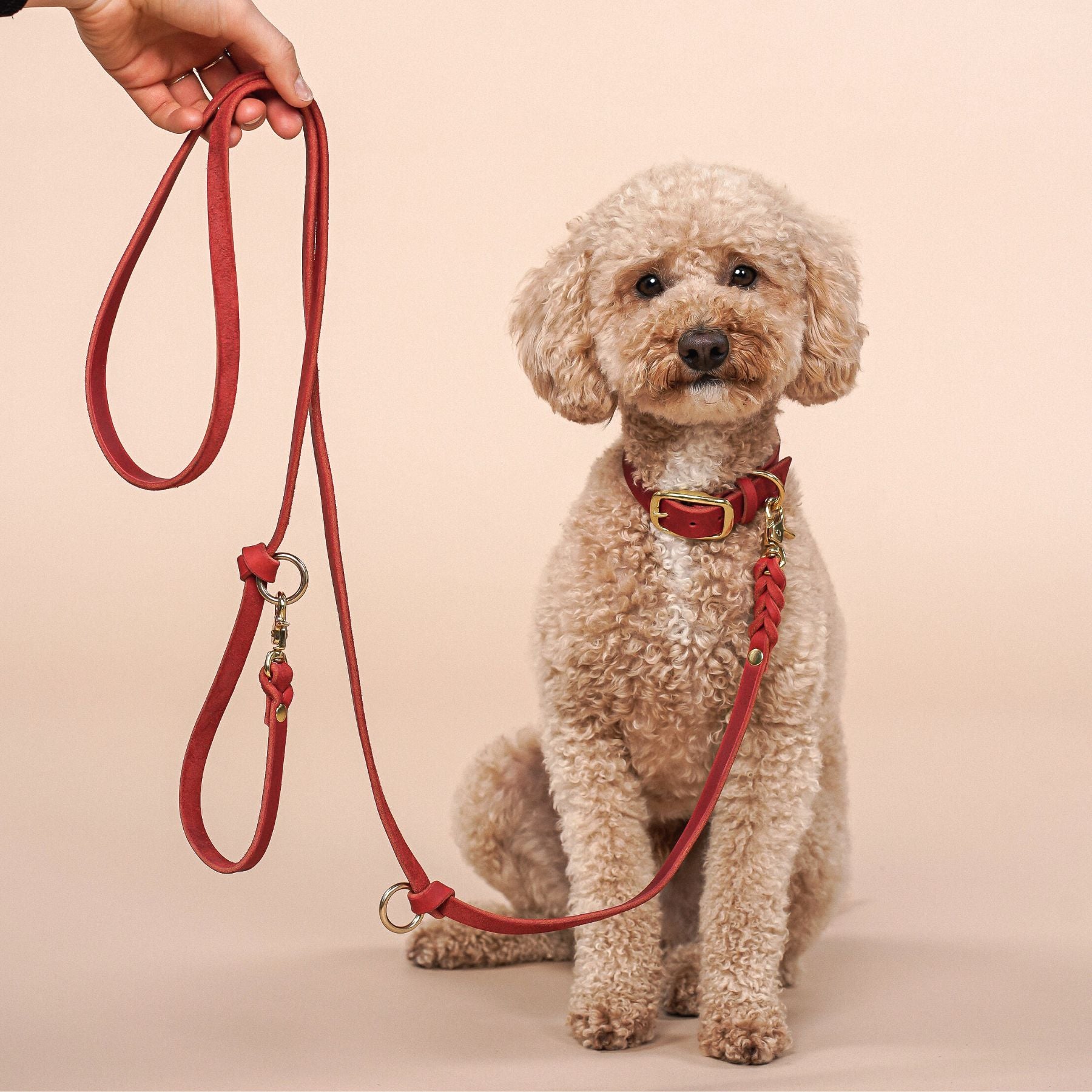 Leather leash 'Bjarki' in chili
