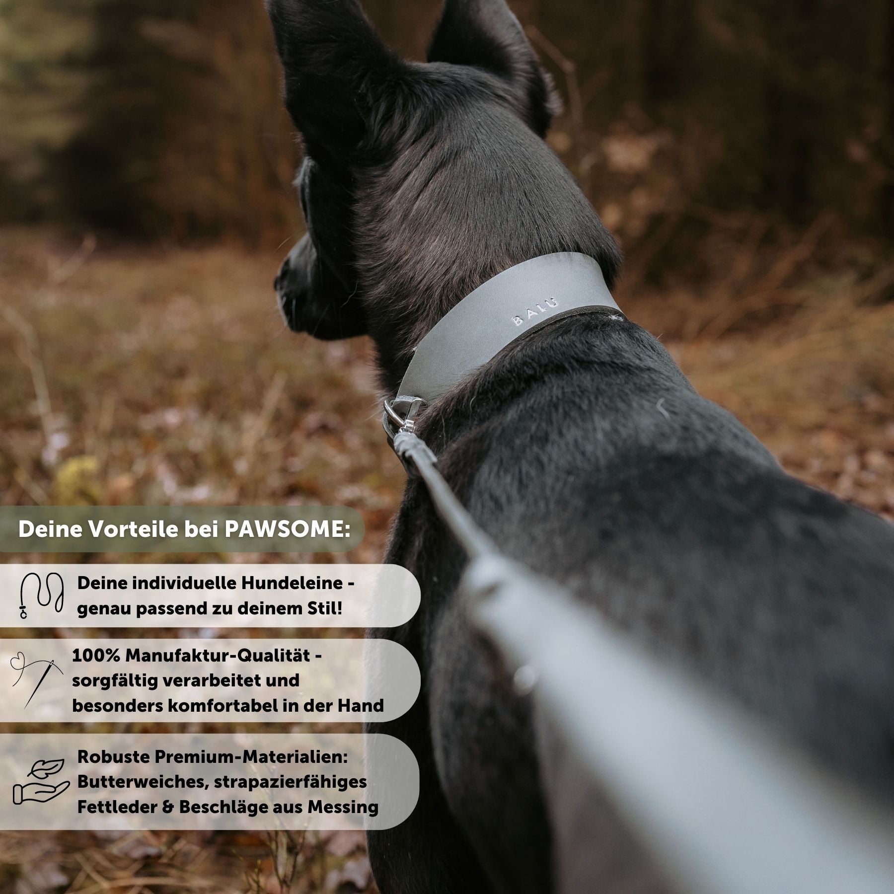 Leather leash 'Bjarki' in stone gray