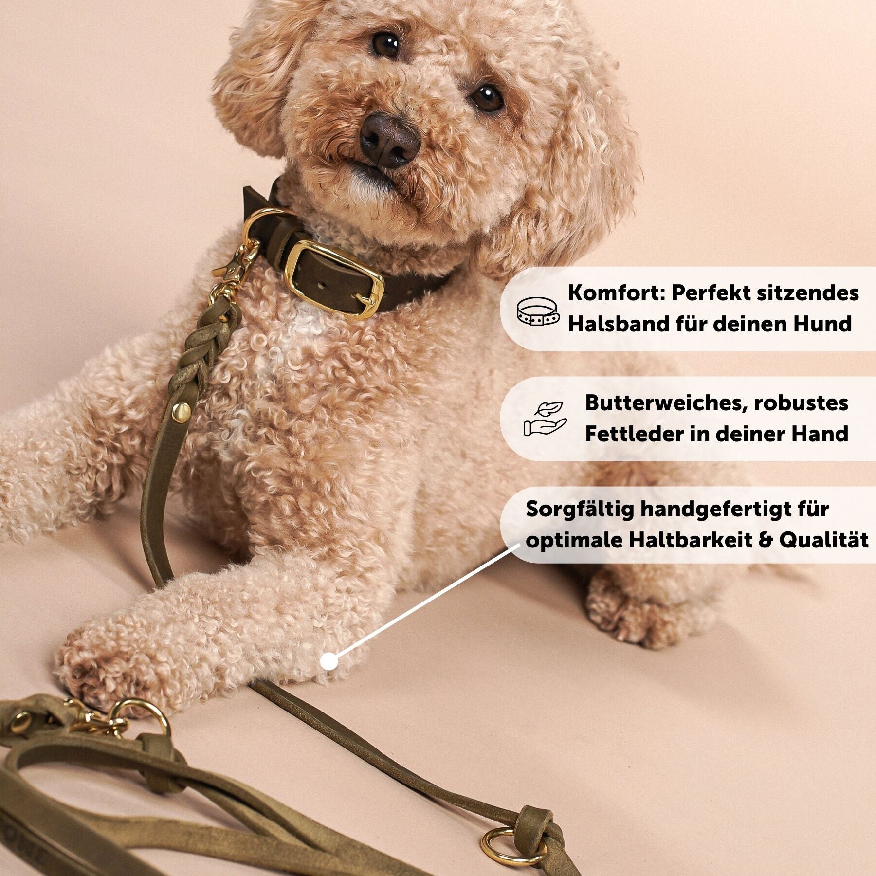 Set | Leather collar & leash in olive