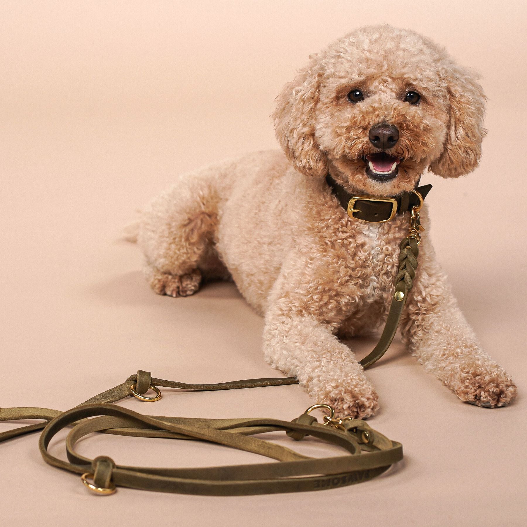 Set | Leather collar & leash in olive