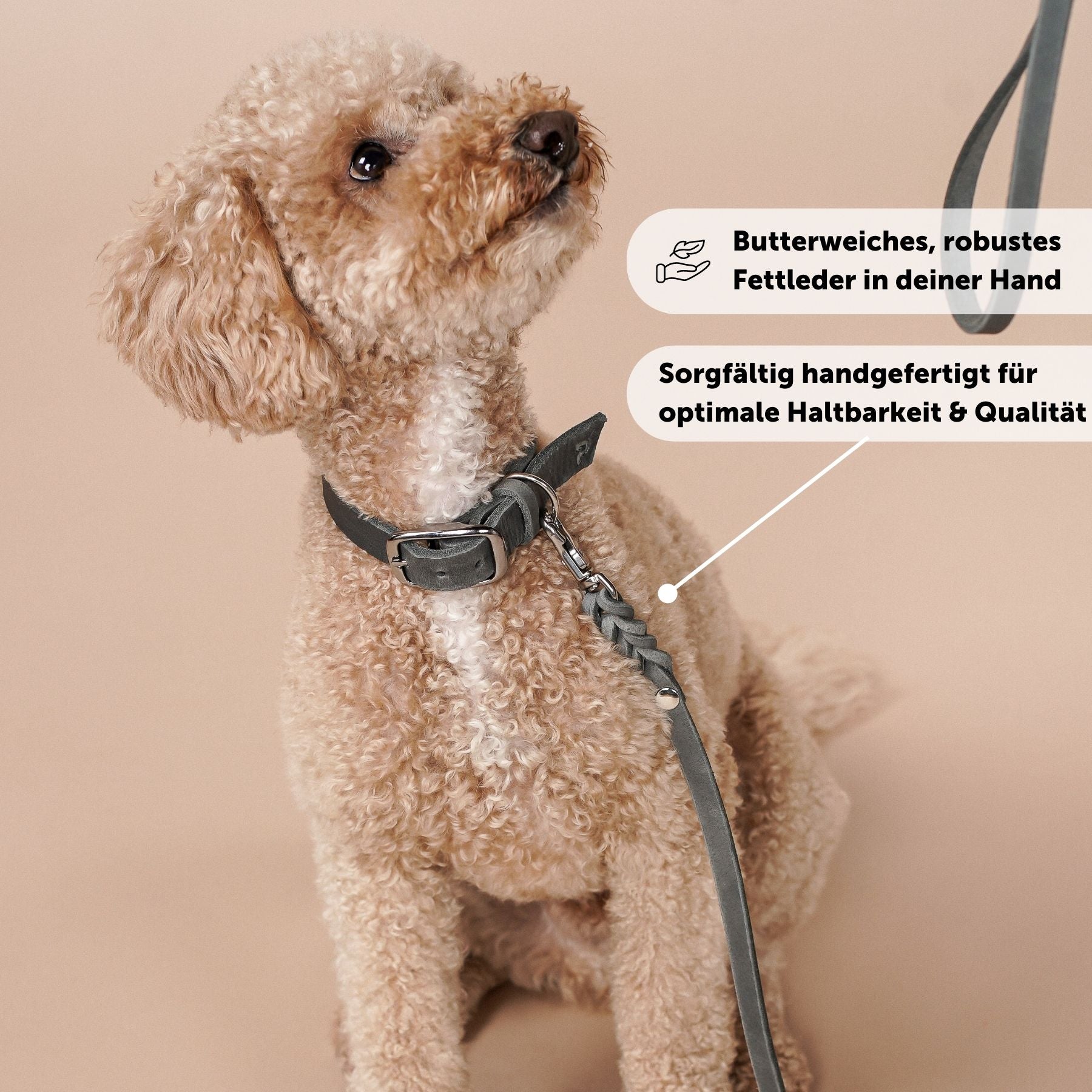 Leather leash 'Bjarki' in stone gray