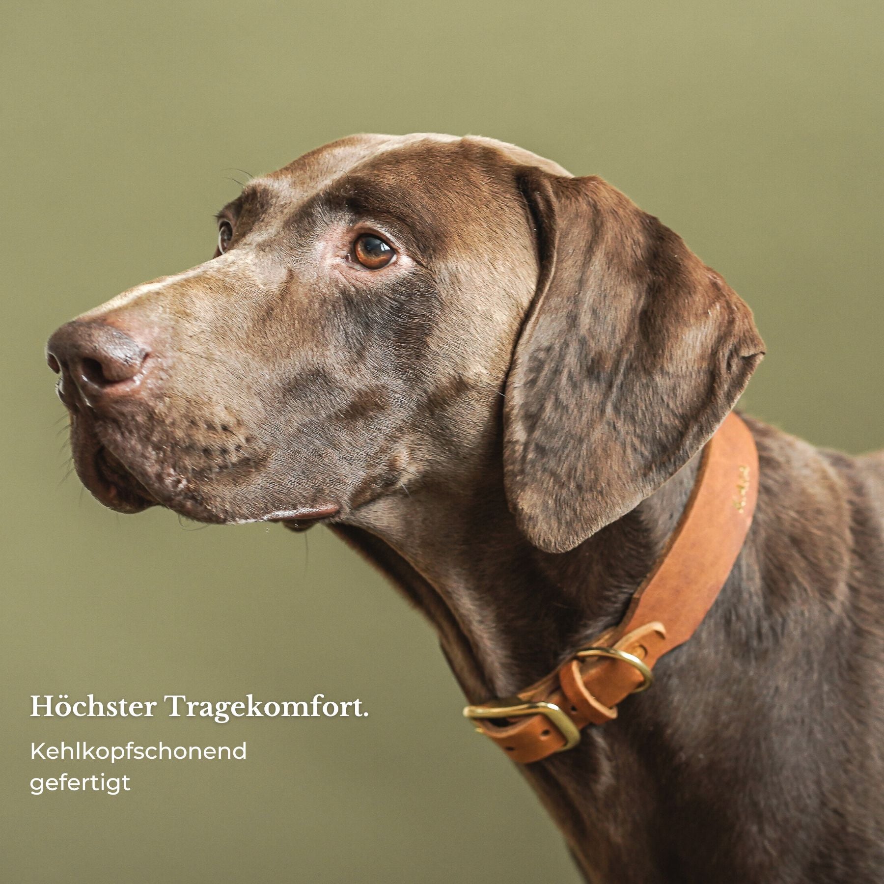 Personalizable collar with name | cognac