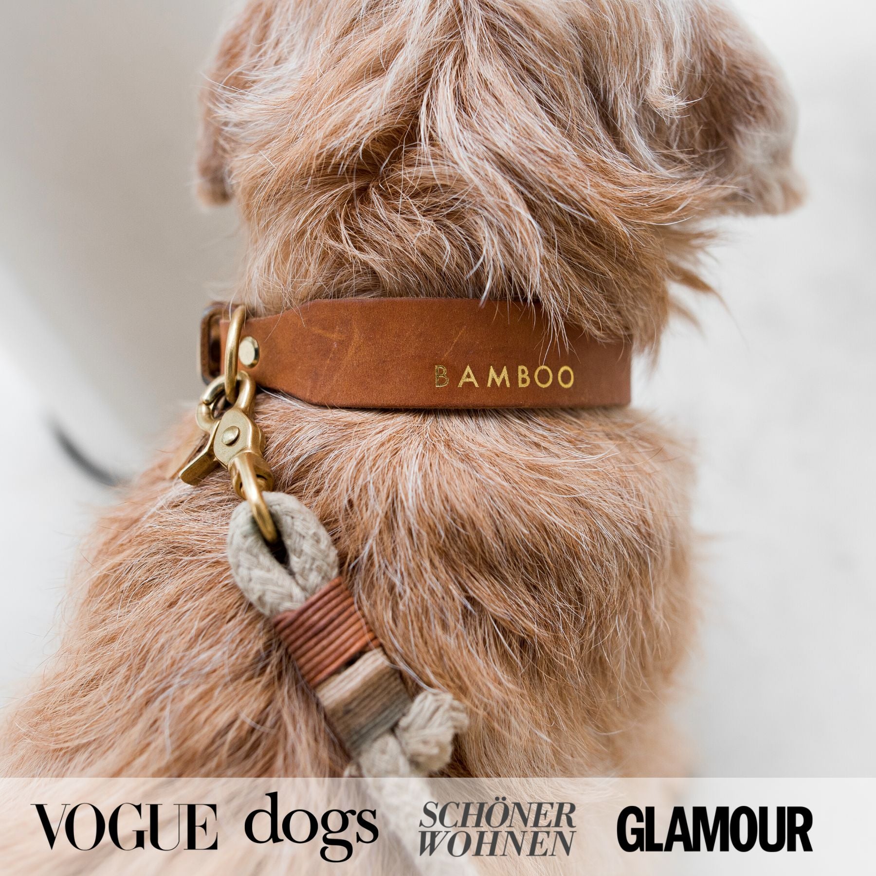 Personalizable collar with name | cognac