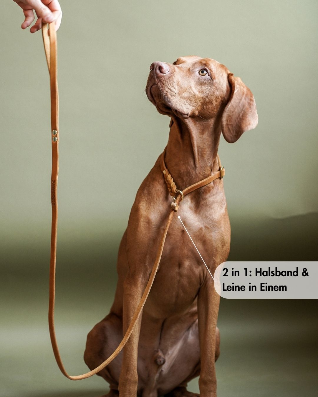 Retriever leash made of greased leather 'Bayo'