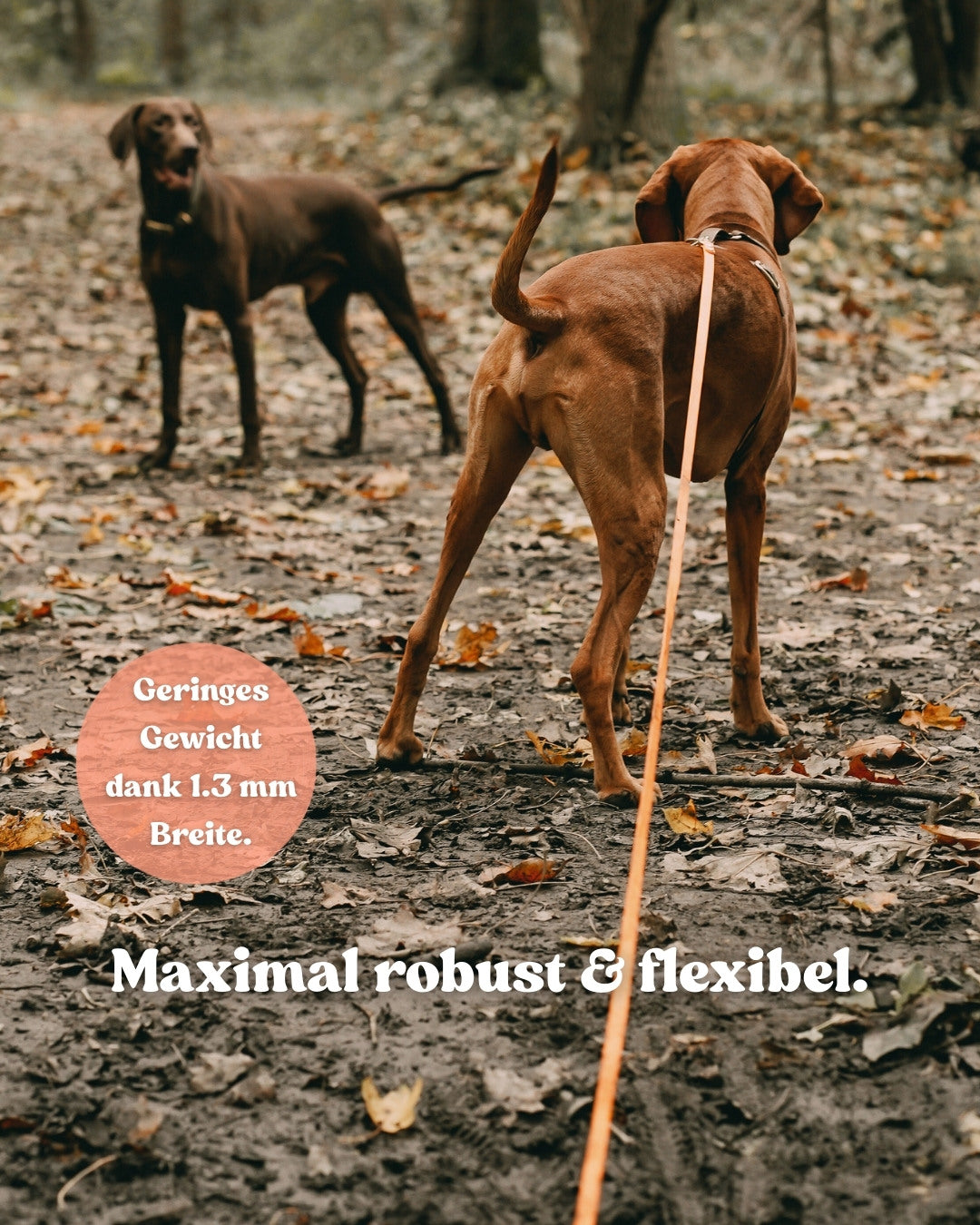 Waterproof towing line made from Biothane