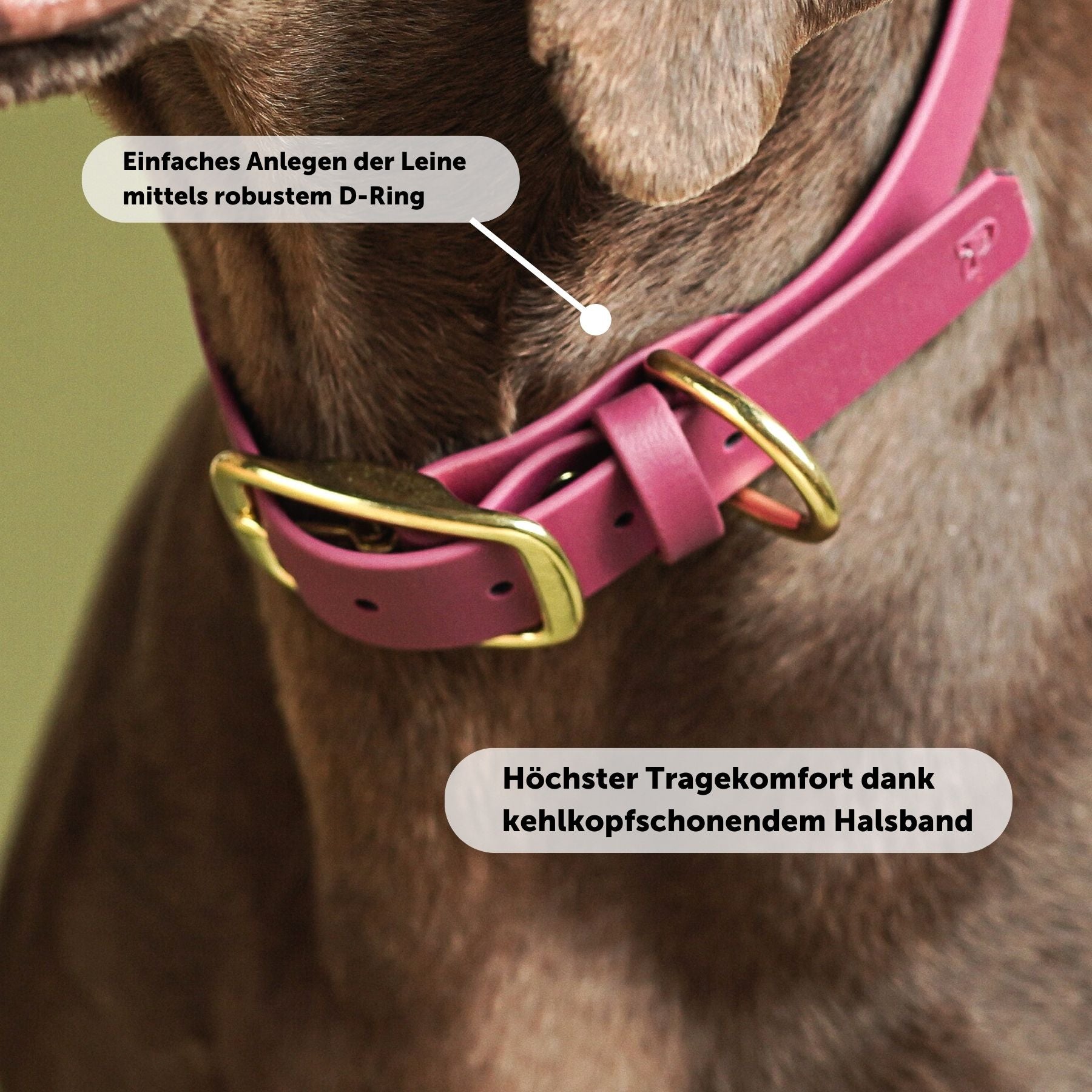 Biothane® collar 'Magenta'