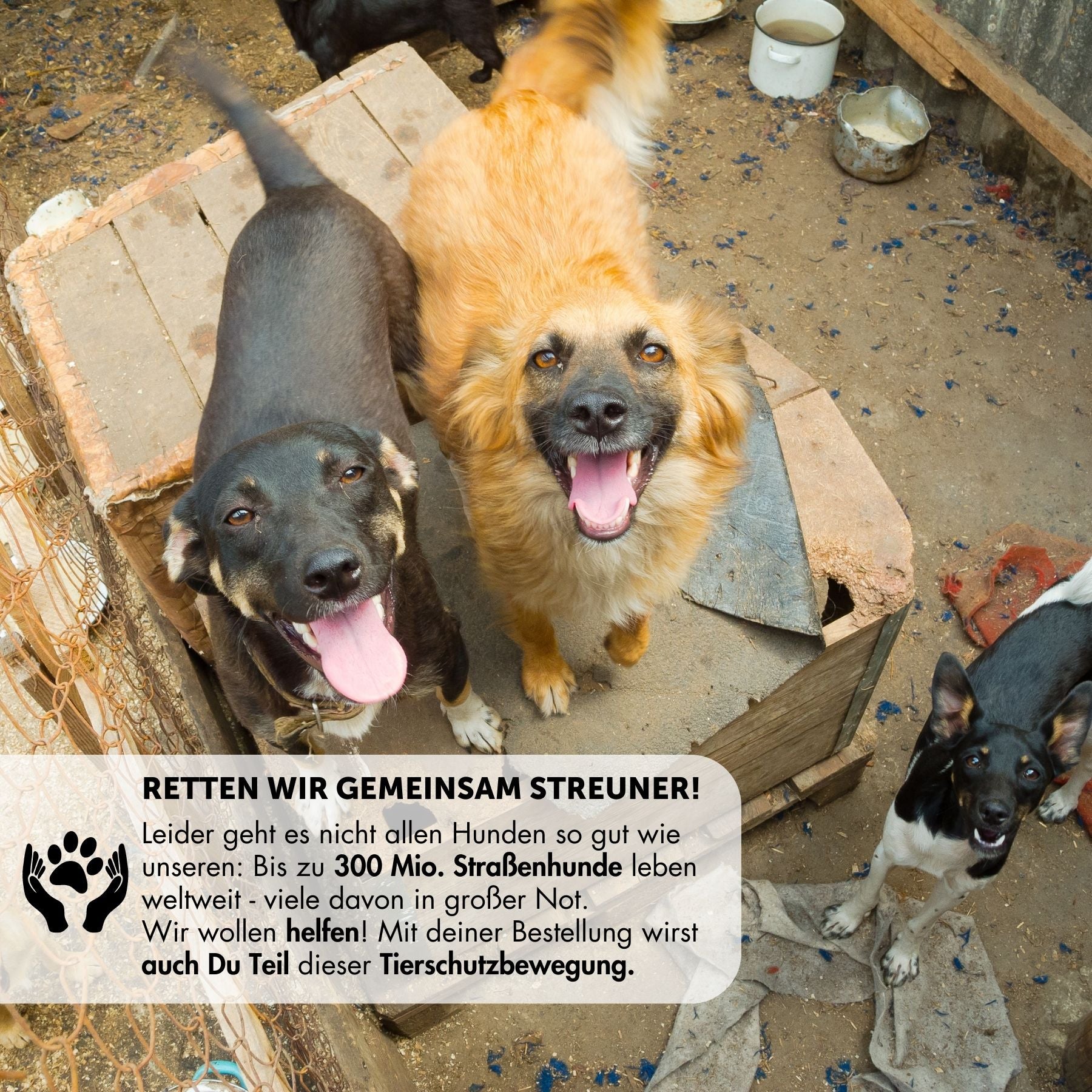 B: Goods | Tauleine 'Berlin'