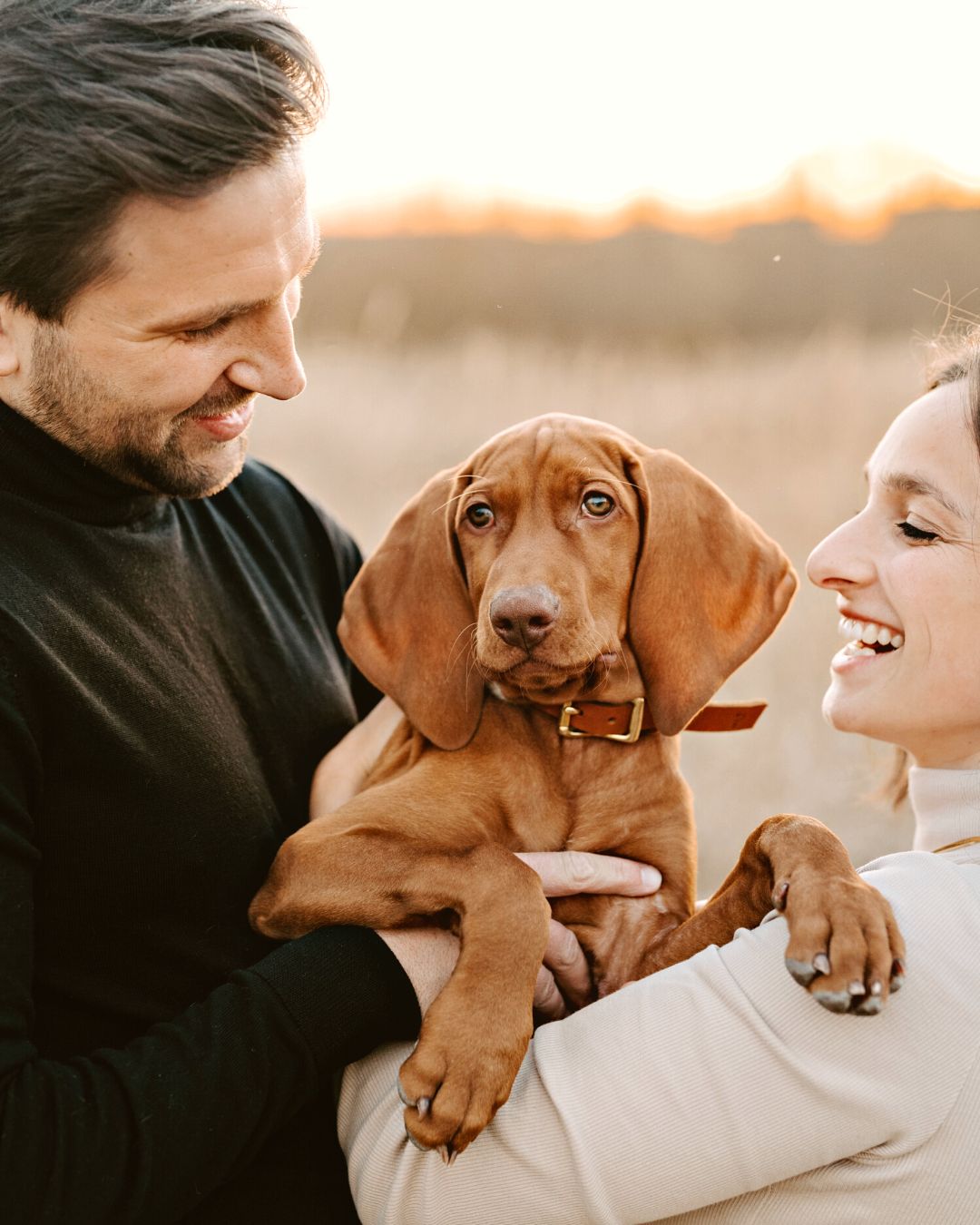 Personalizable puppy collar made of greased leather