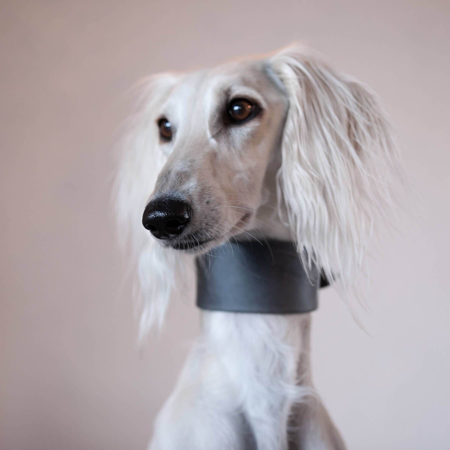 Dieses 5cm breite Hundehalsband und Hundeleine ist perfekt geeignet für Windhunde. Durch die breite Auflagefläche schützt es den sensiblen Hals von Windhunden. Die PAWSOME Hundezubehör Produkte werden in Wien handgefertigt und sind aus robustem Fettleder. Dadurch sind die Halsbänder langlebig und hochwertig. Die Leine in dem Set ist 2 Meter lang und 2 fach verstellbar.
