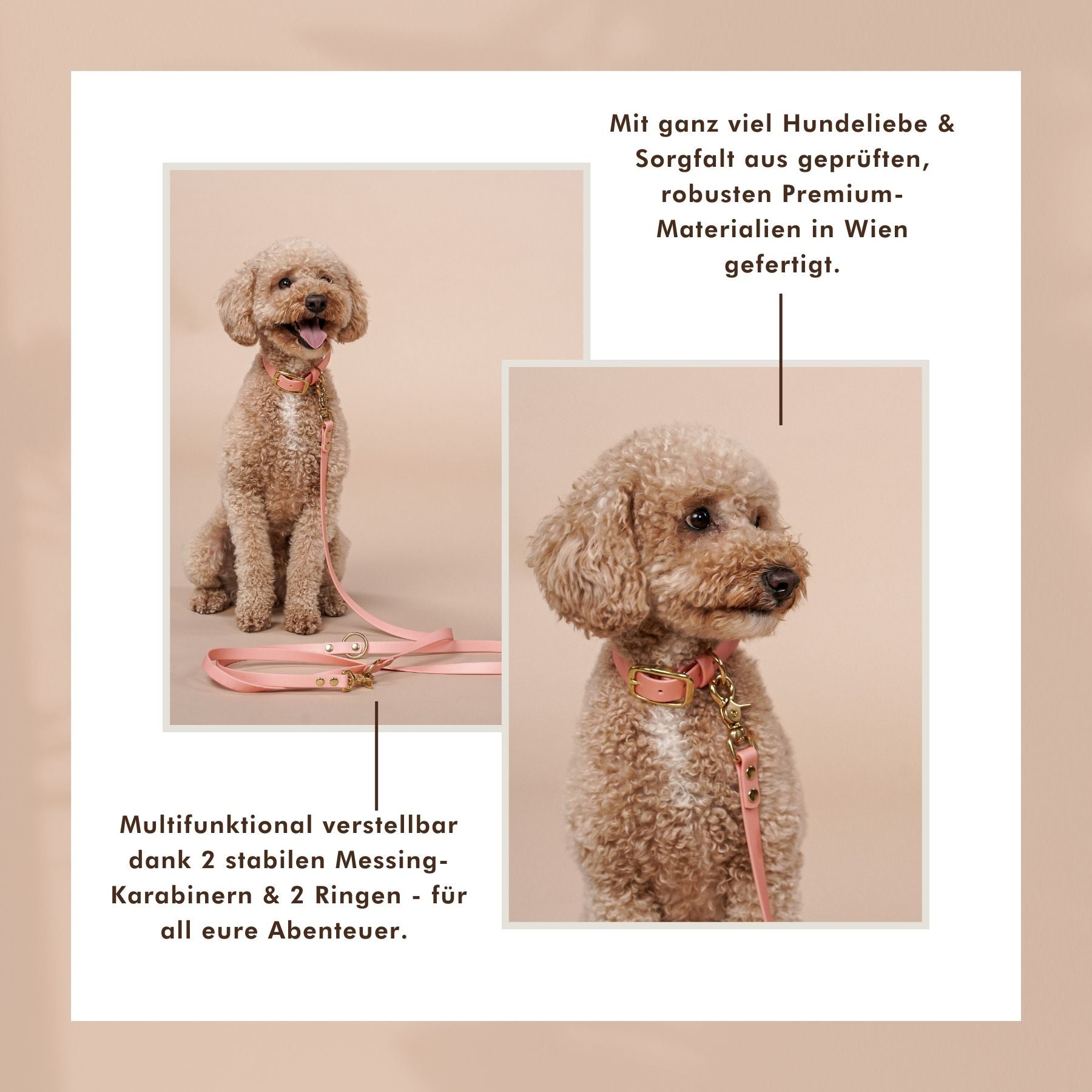 Dog leash made of Biothane® 'Rosegold'