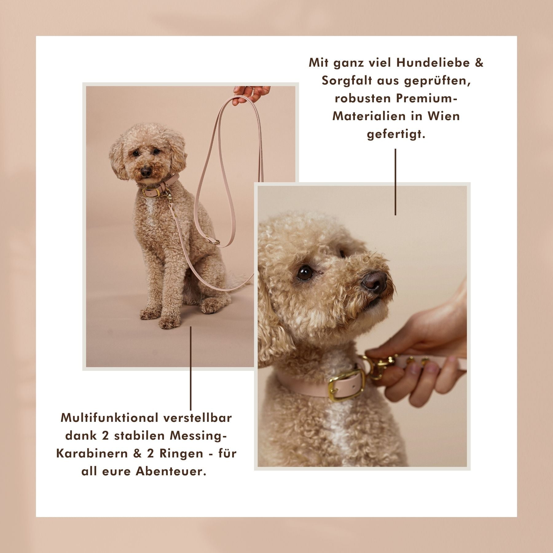 Dog leash made of Biothane® 'Sand'