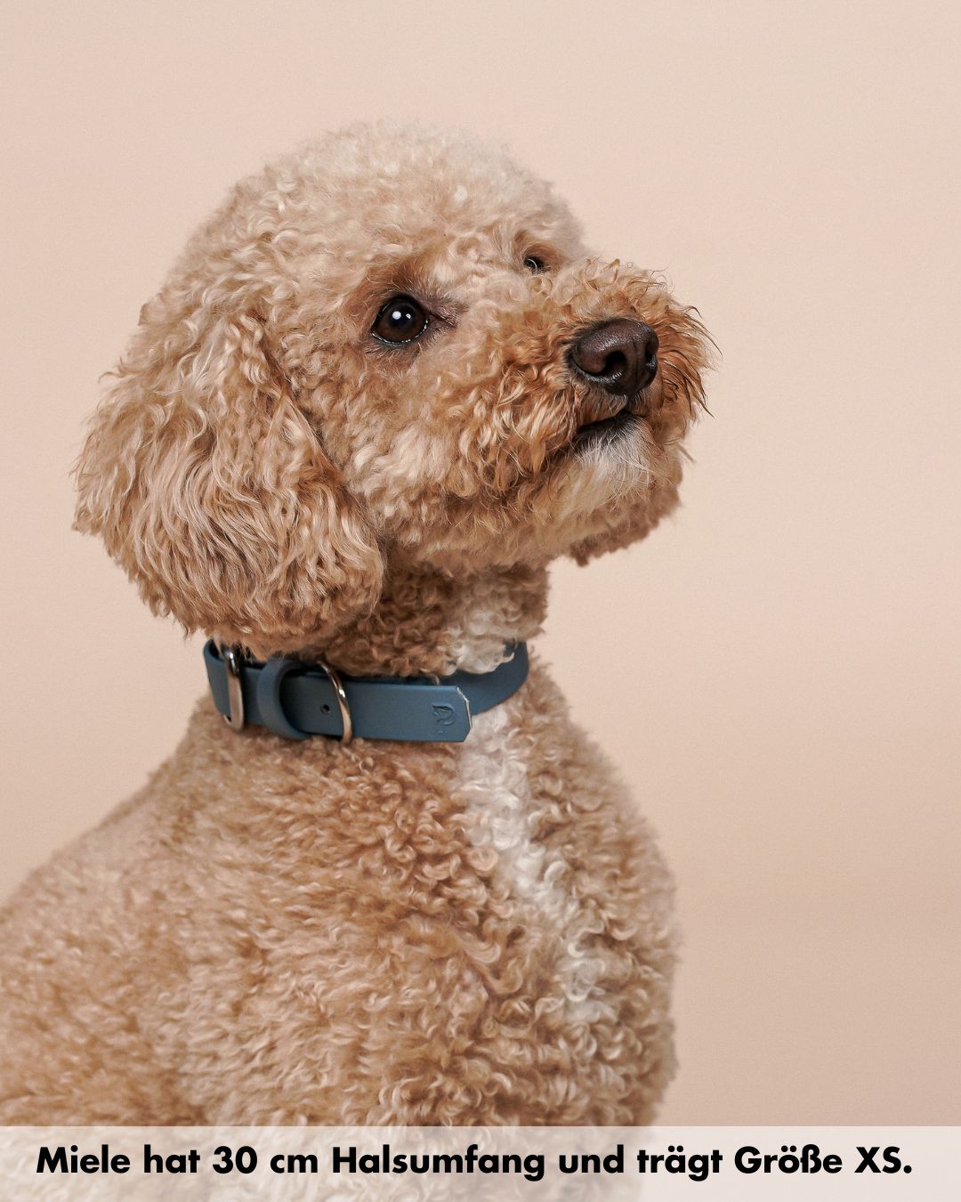 Biothane® collar 'Dusty Blue'