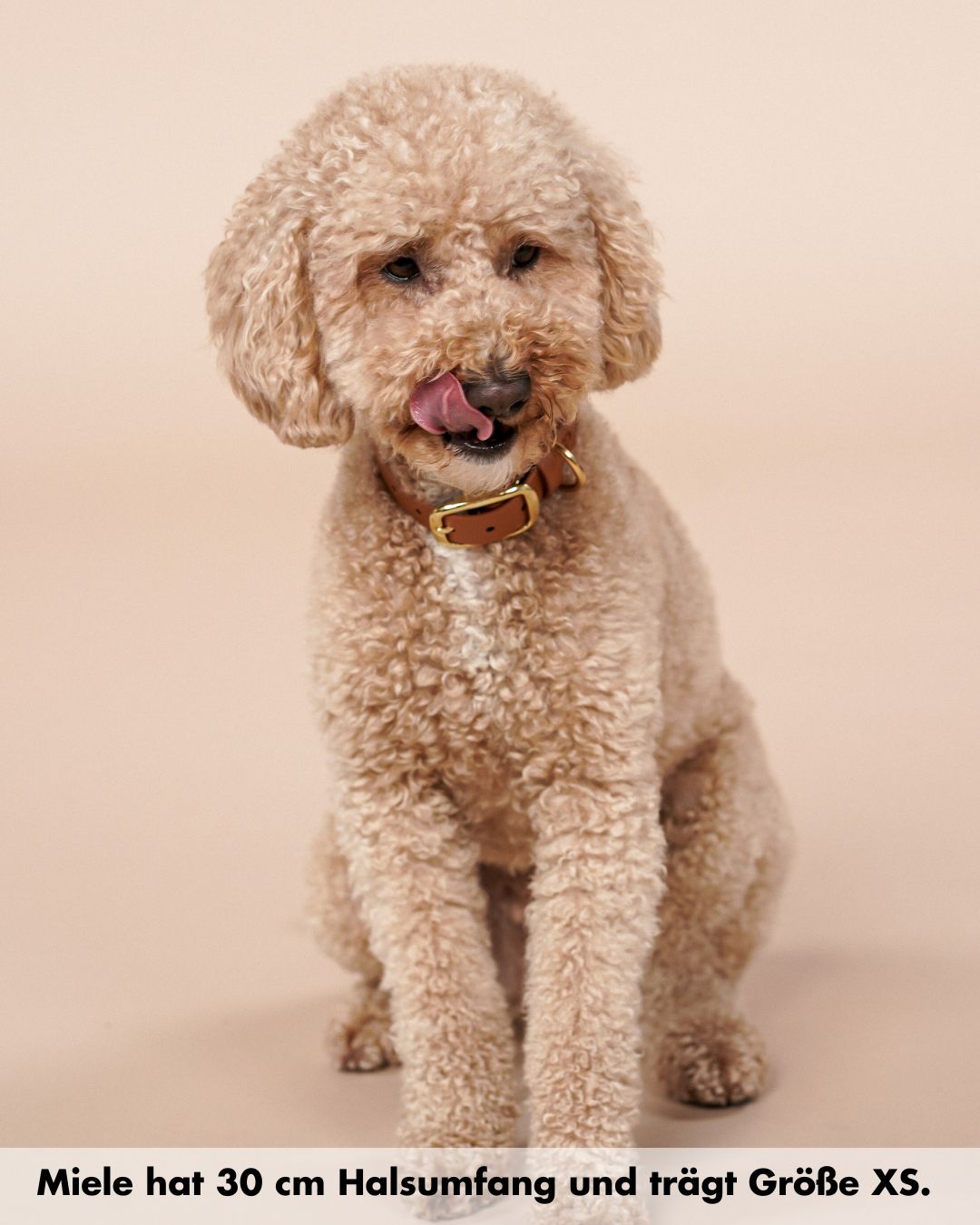 Biothane® collar 'Light brown'