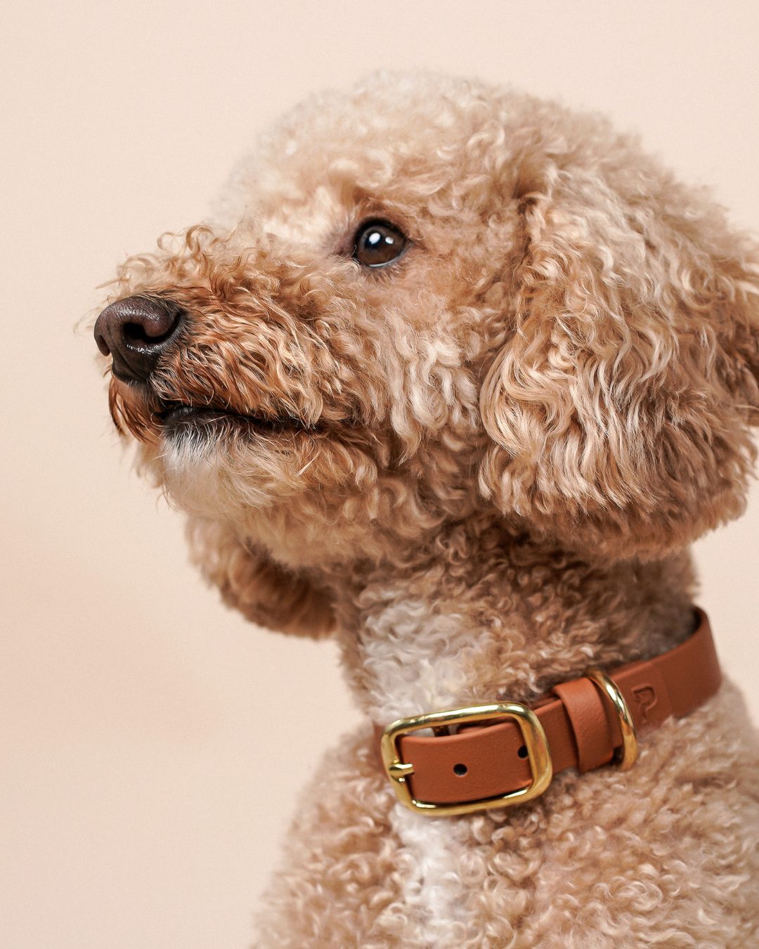 Biothane® collar 'Light brown'