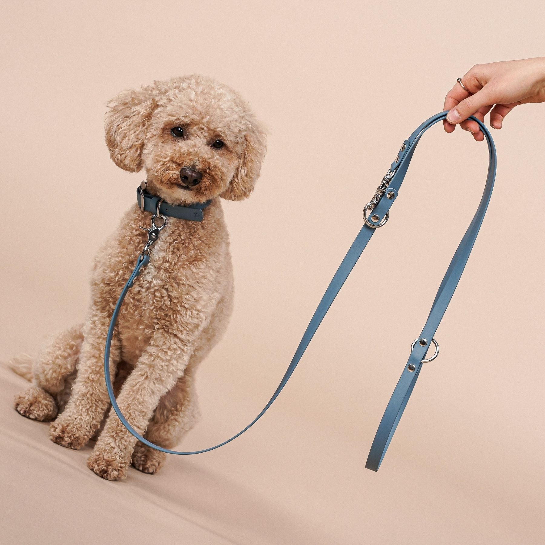 Dog leash made of Biothane® 'Dusty Blue'